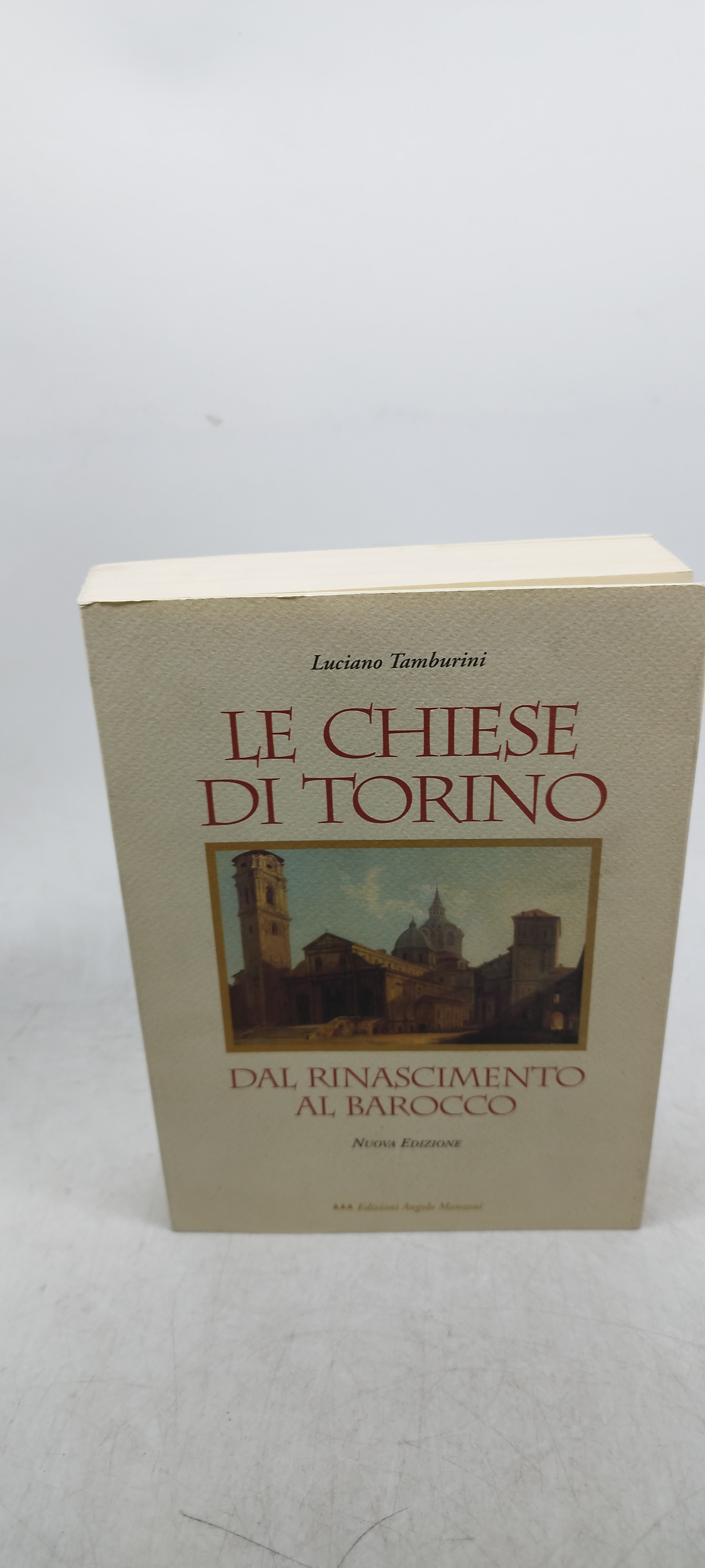 le chiese di torino dal rinascimento al barocco nuova edizione