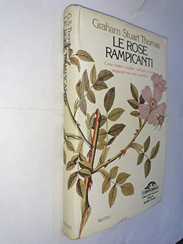 Le rose rampicanti
