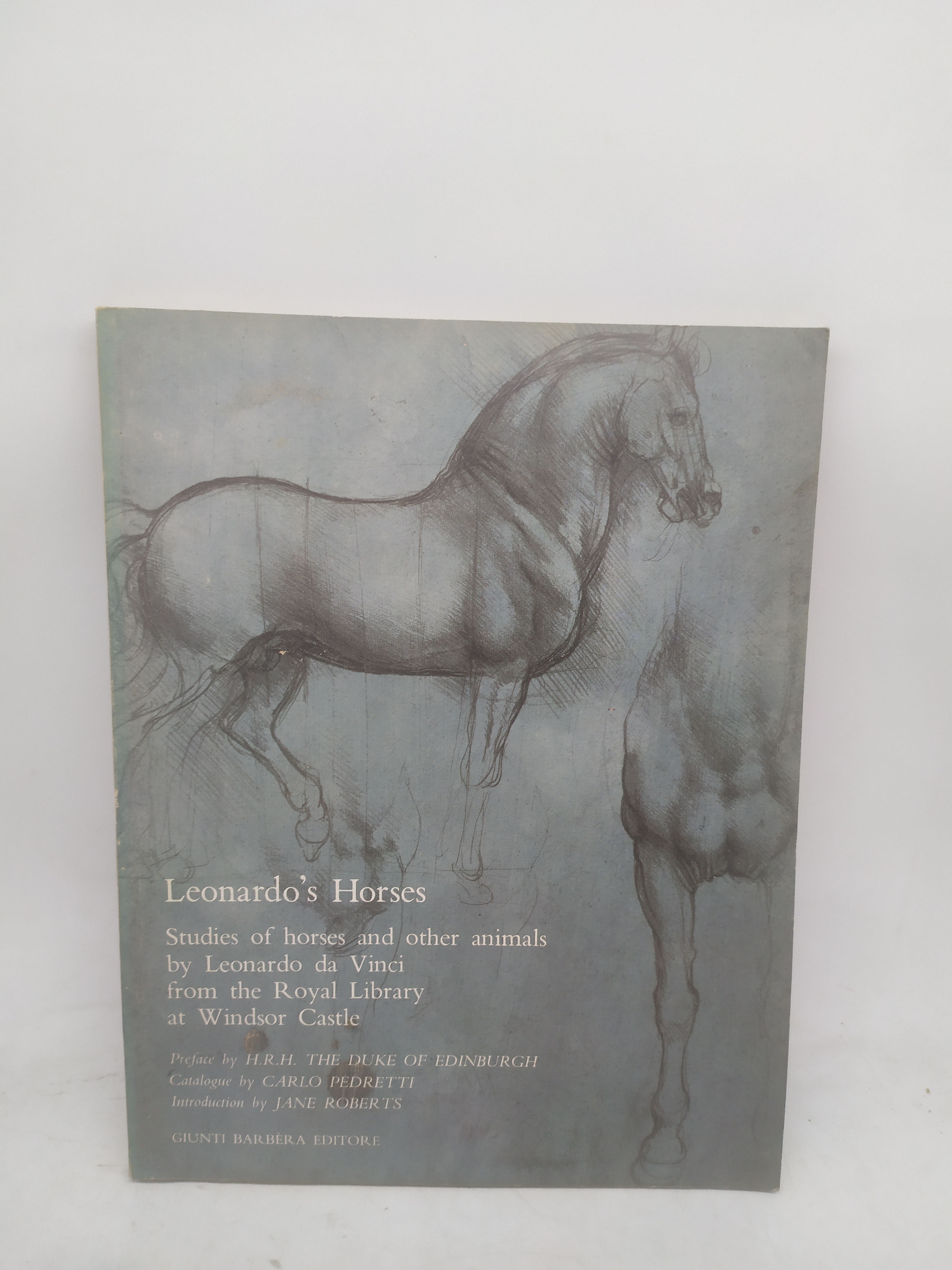 leonardo's horses florence palazzo vecchio 1984