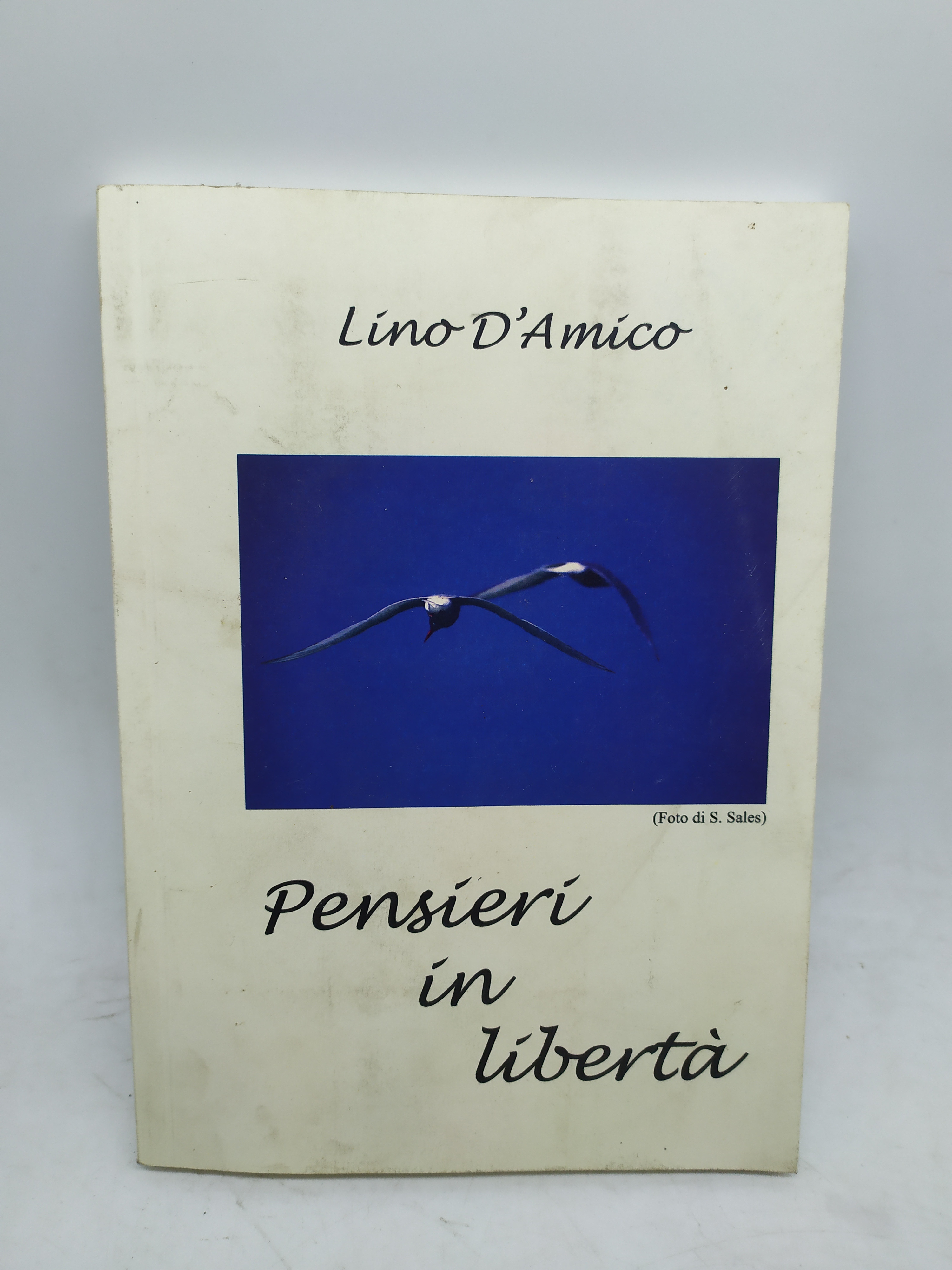 lino d'amico pensieri in liberta'