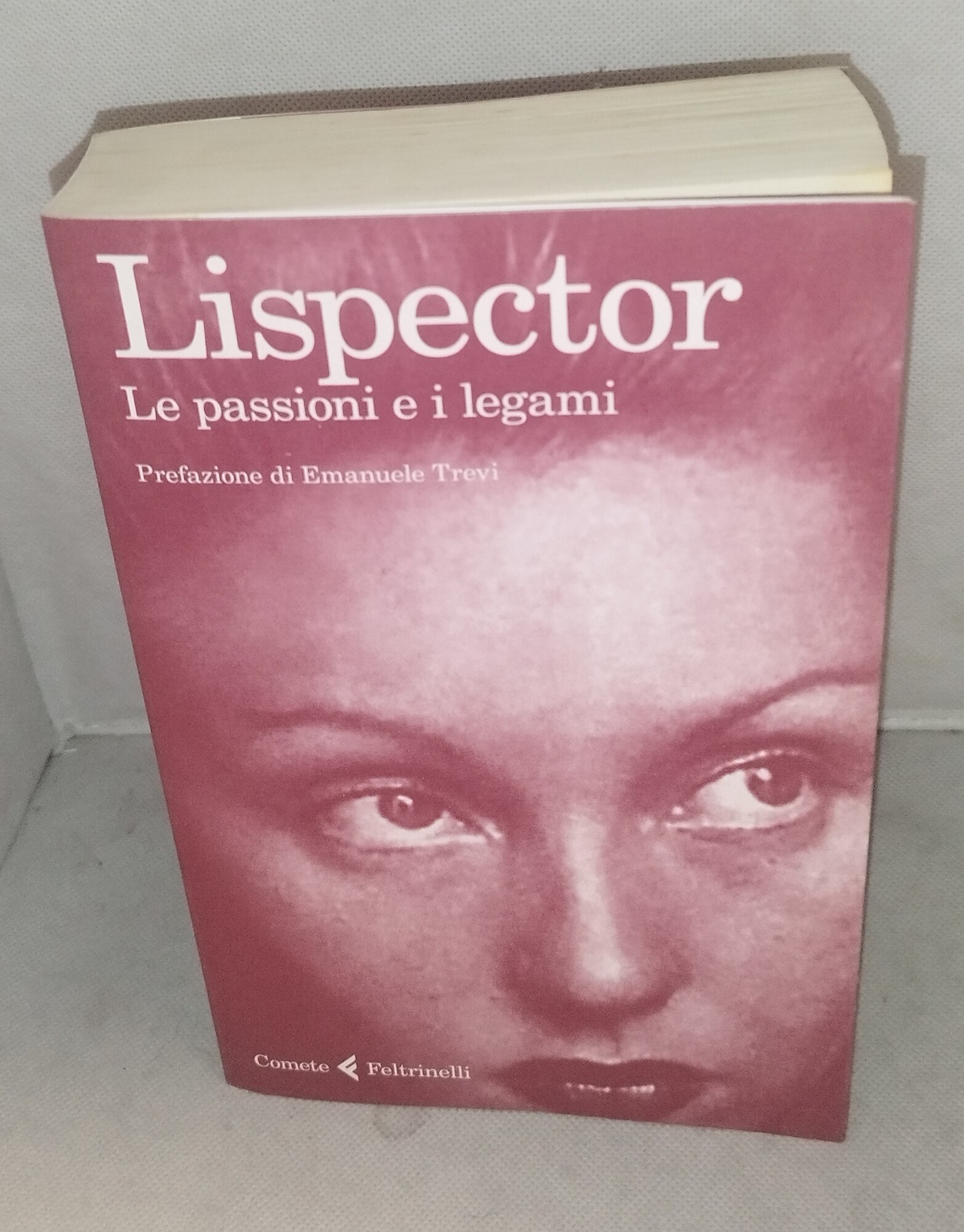 lispector le passioni e i legami