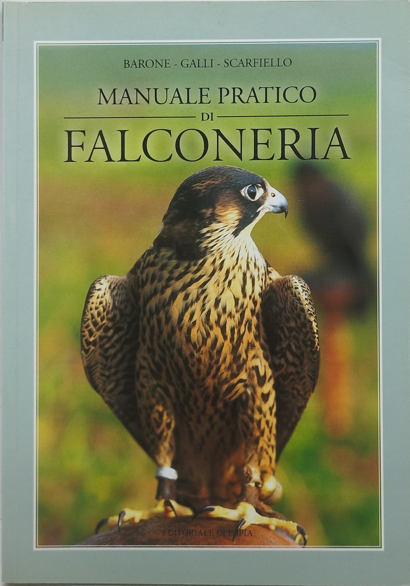 manuale pratico di falconeria