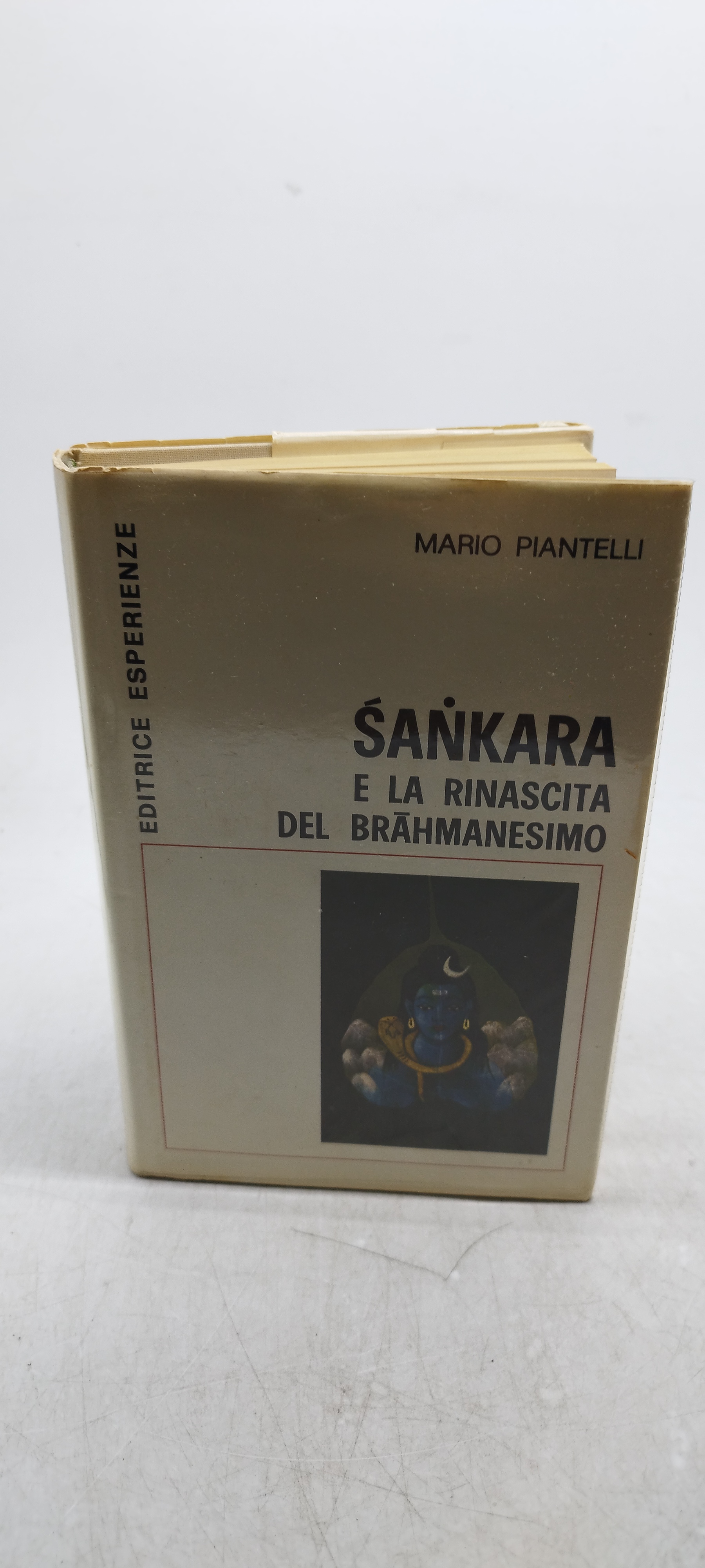 mario piantelli sankara e la rinascita del brahmanesimo