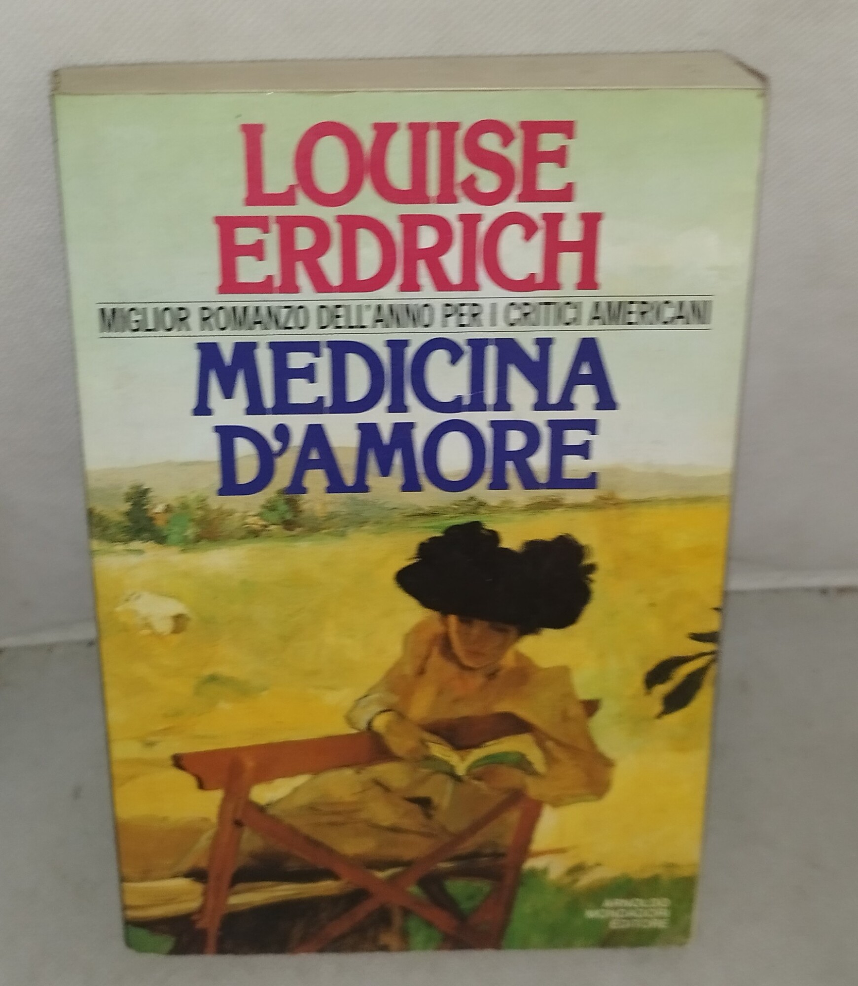medicina d'amore louise erdrich