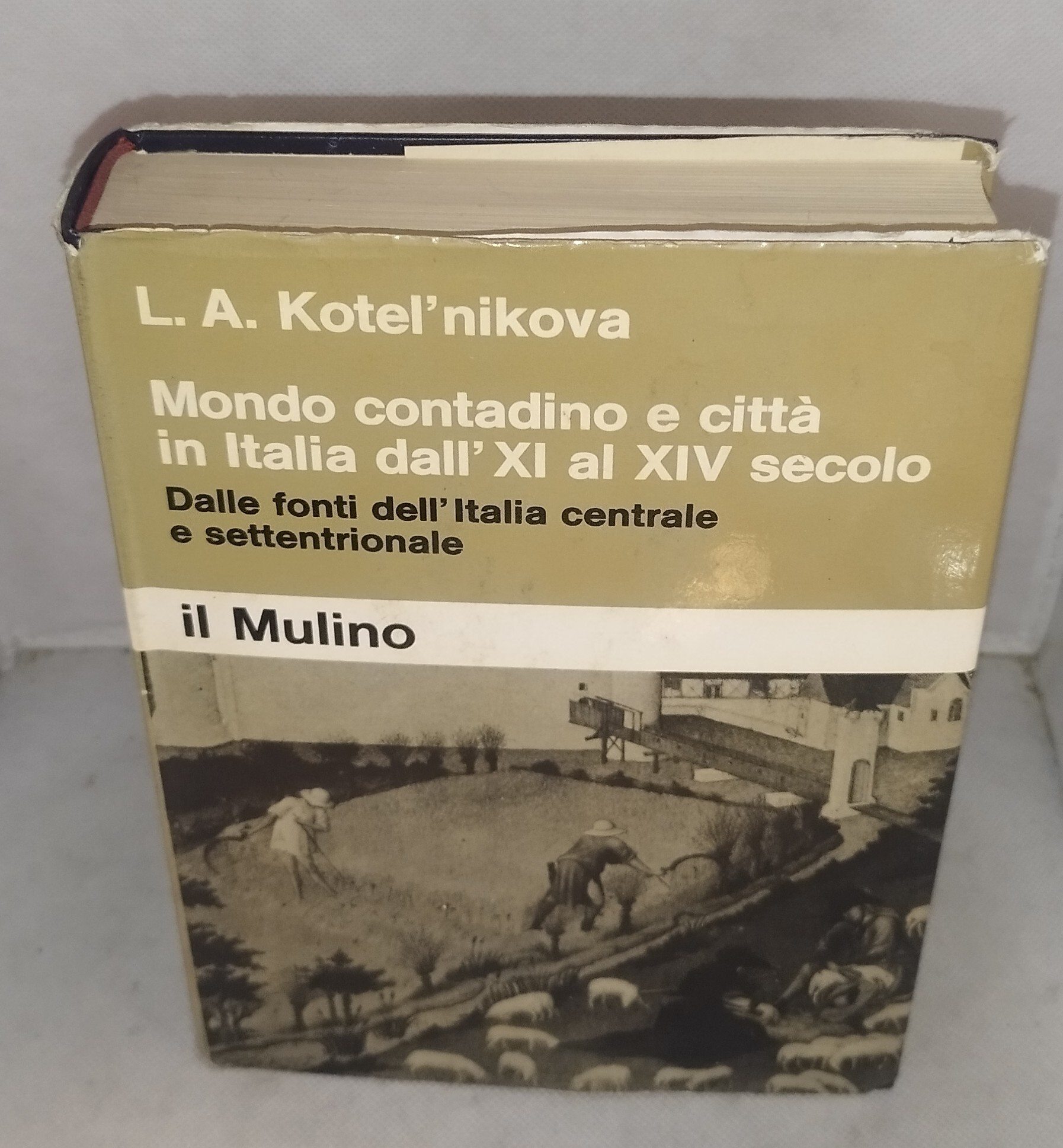 mondo contadino e città in italia dall'XI al XIV secolo