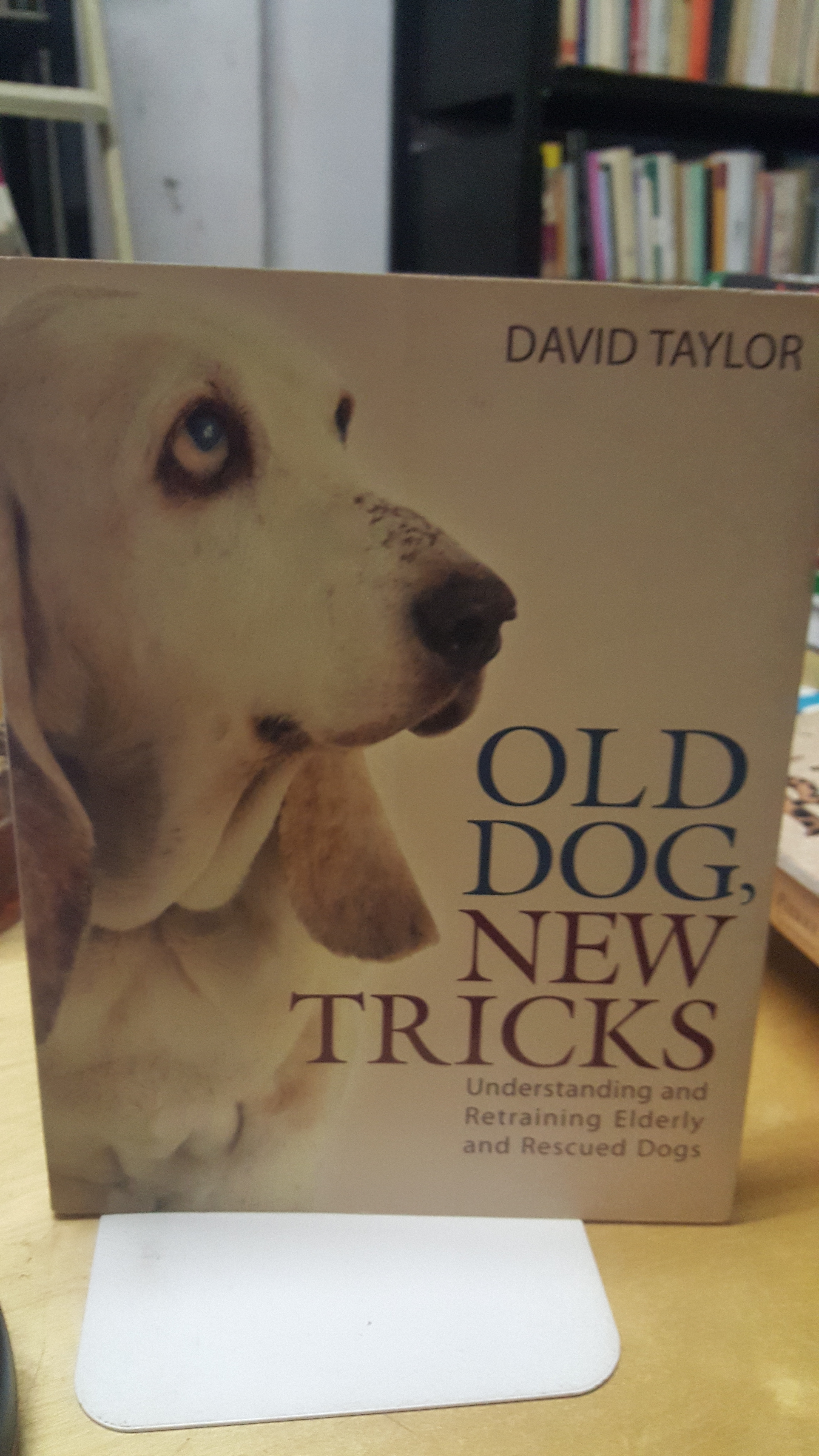 old dog new tricks david taylor understanding and retraining elderly