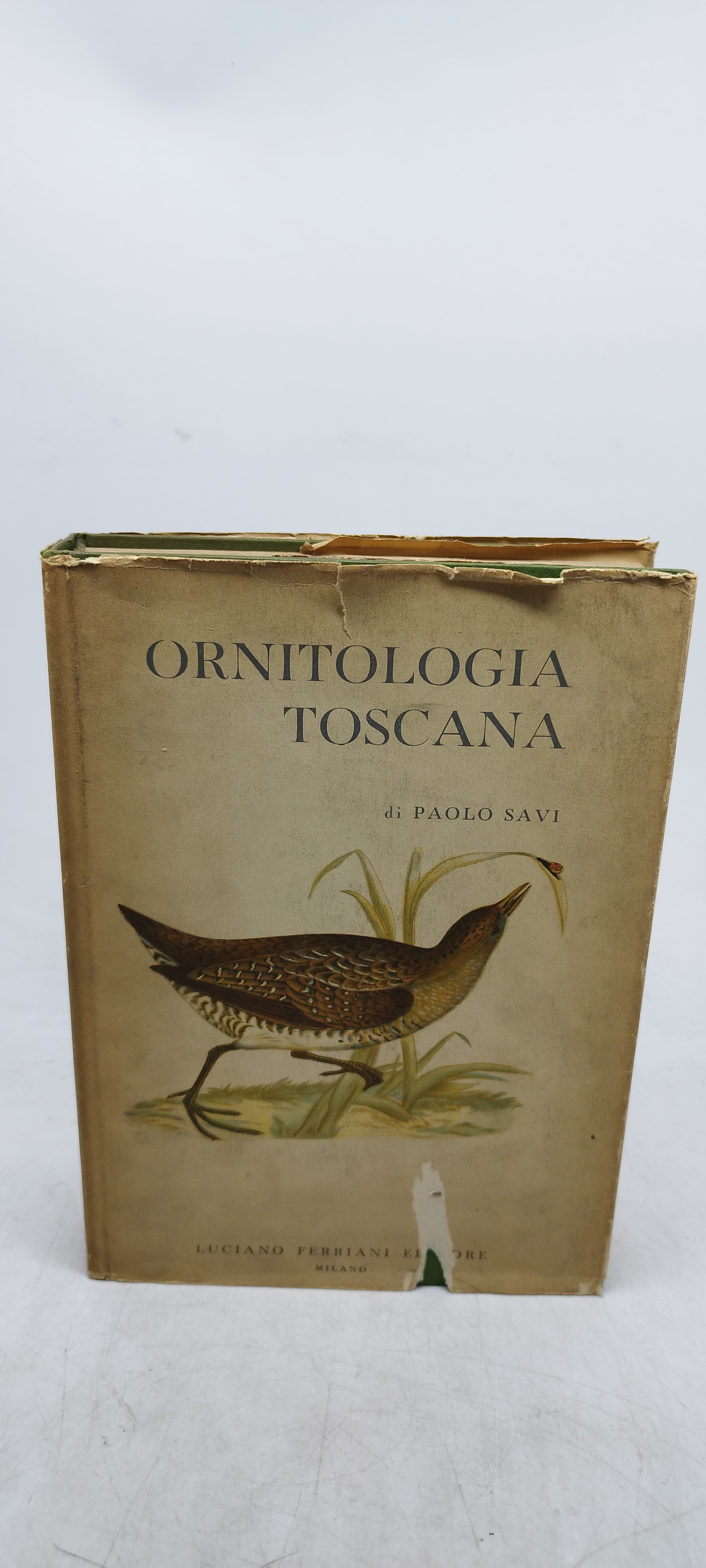 ornitologia toscana di paolo savi volume 2 luciano ferriani