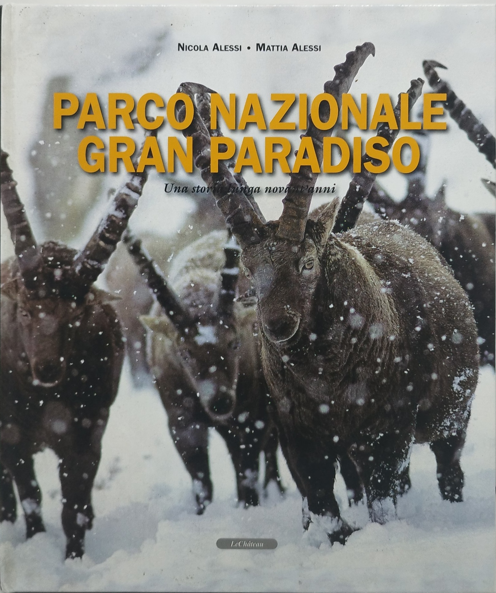 parco nazionale gran paradiso