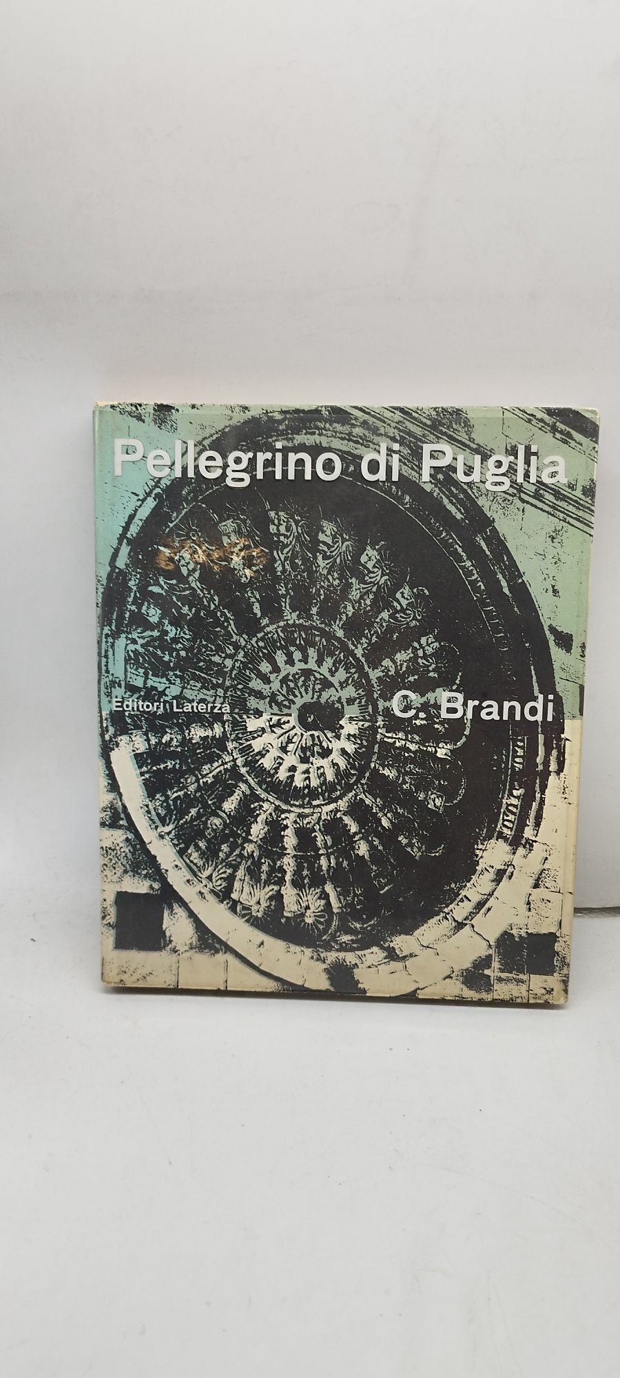 pellegrino di puglia