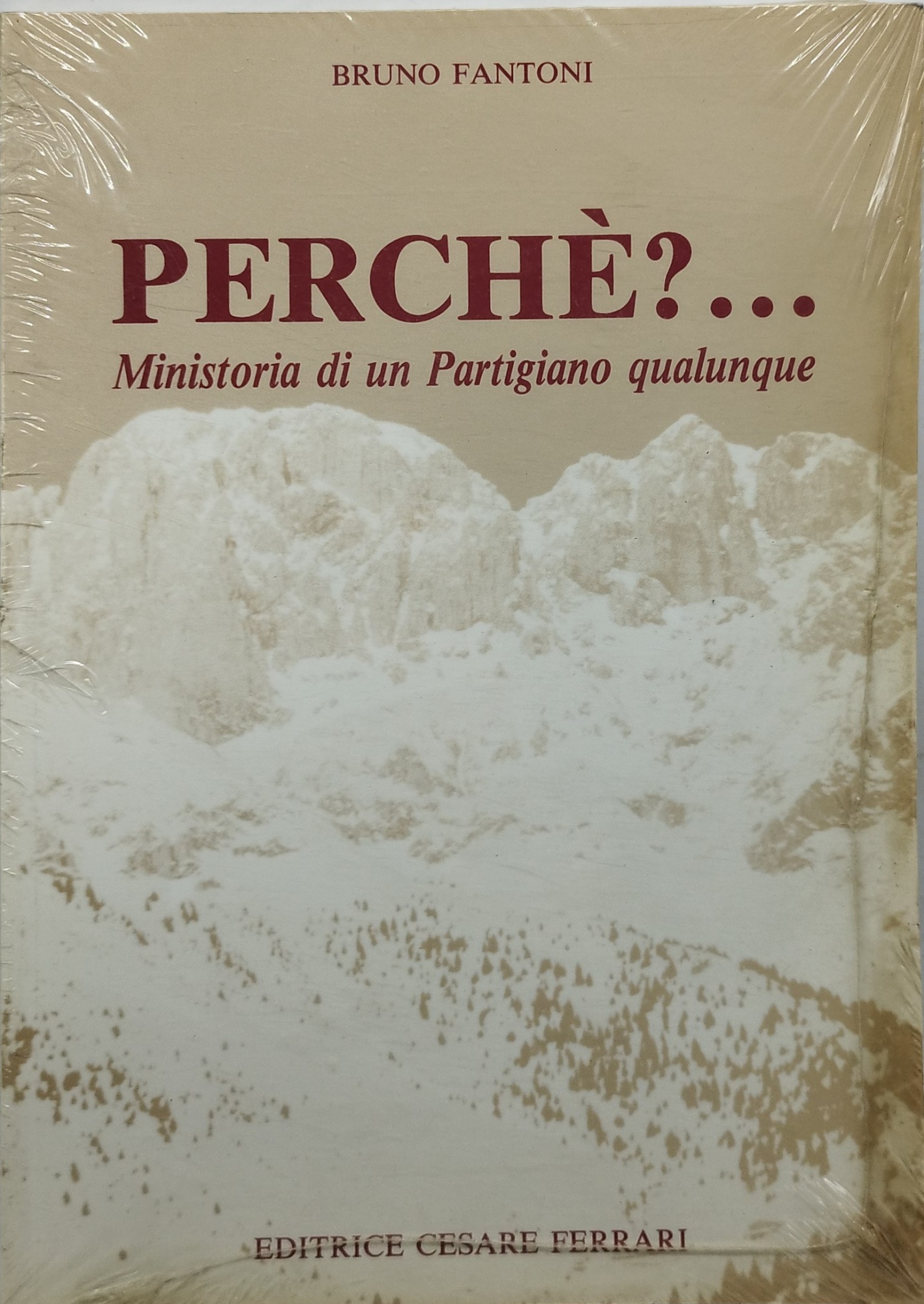 perchè ministoria di un partigiano qualunque chiuso ancora