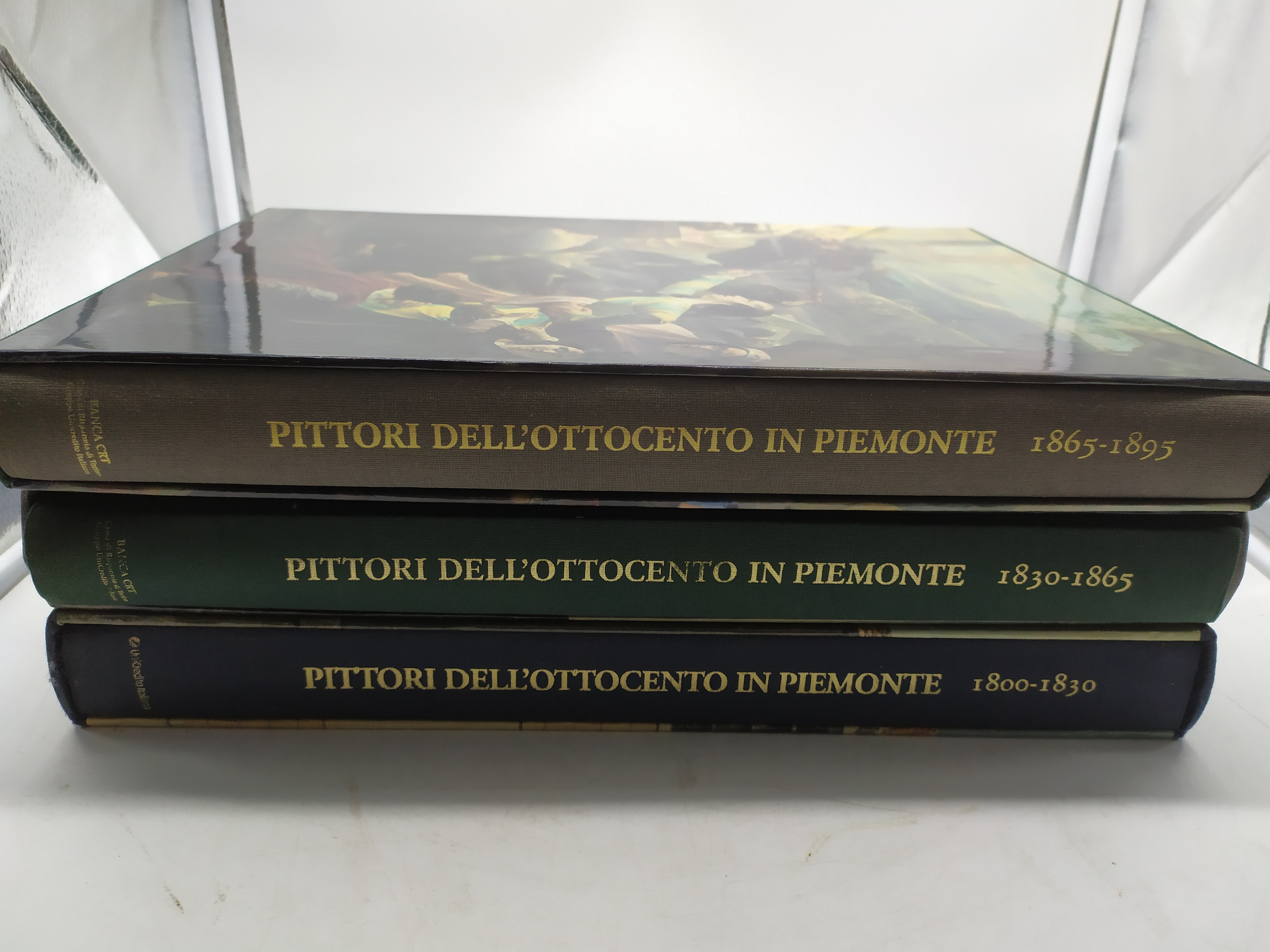 pittori dell'ottocento in piemonte 1800-1895 3 volumi banca crt