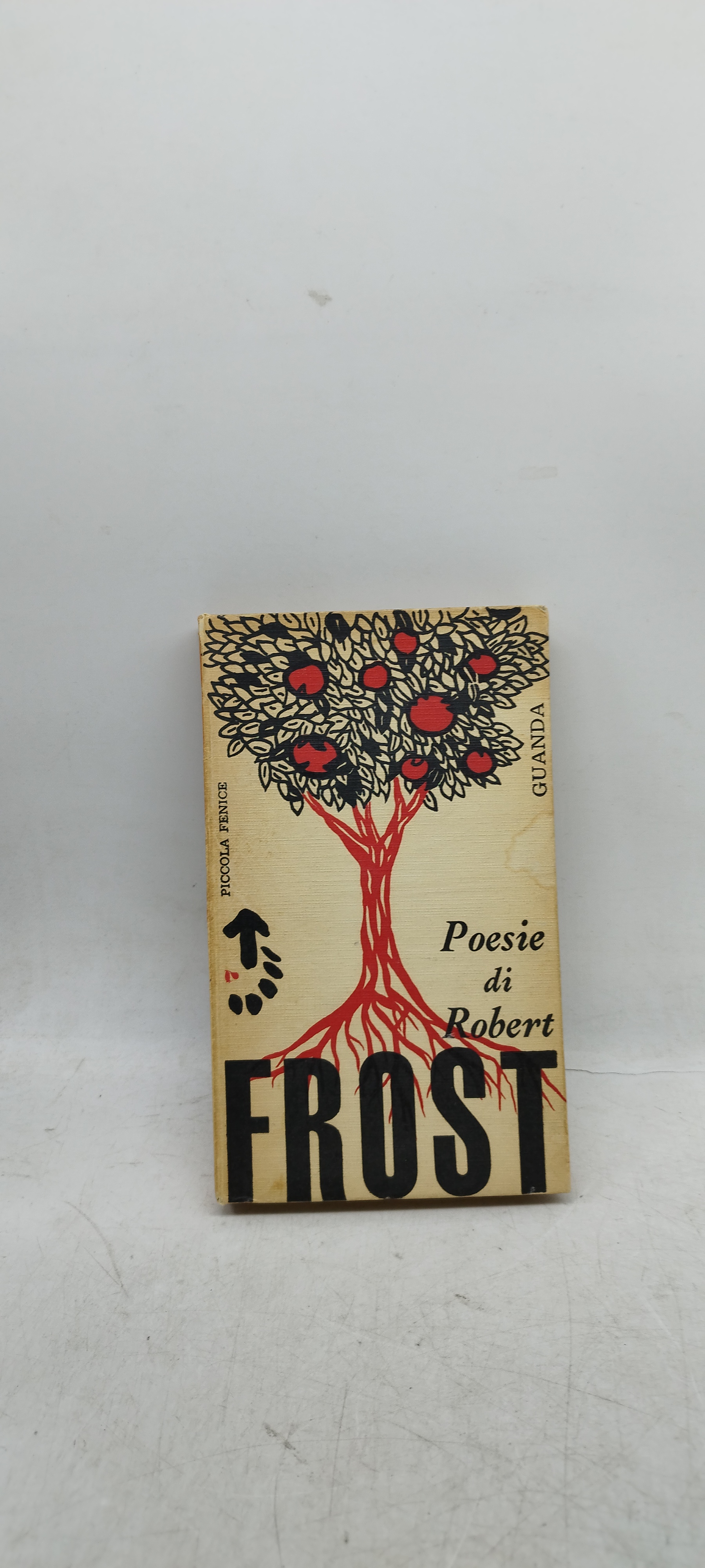 poesie di robert frost piccola fenice