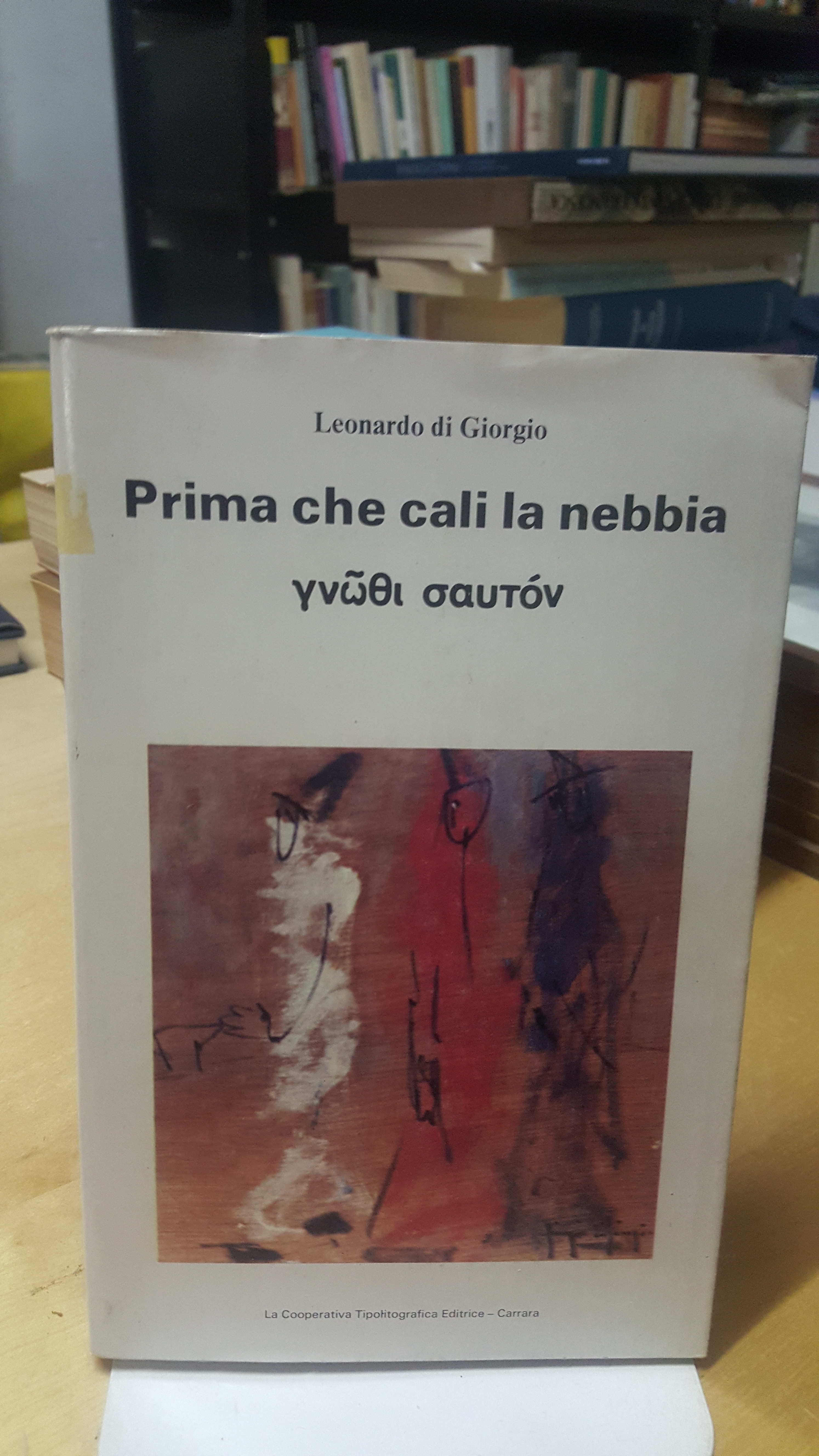 prima che cali la nebbia leonardo di giorgio