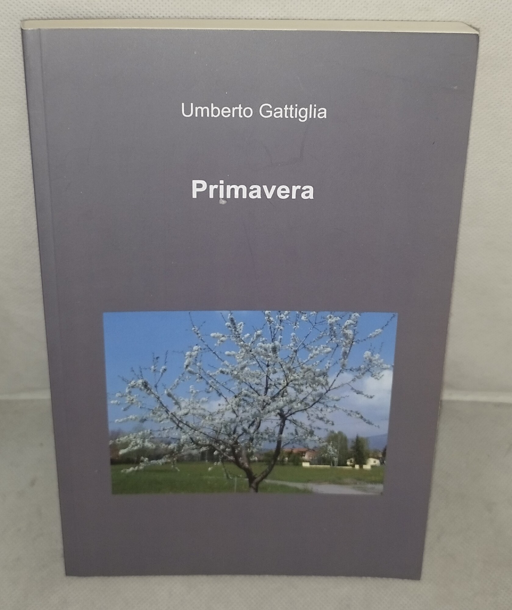 primavera umberto gattiglia