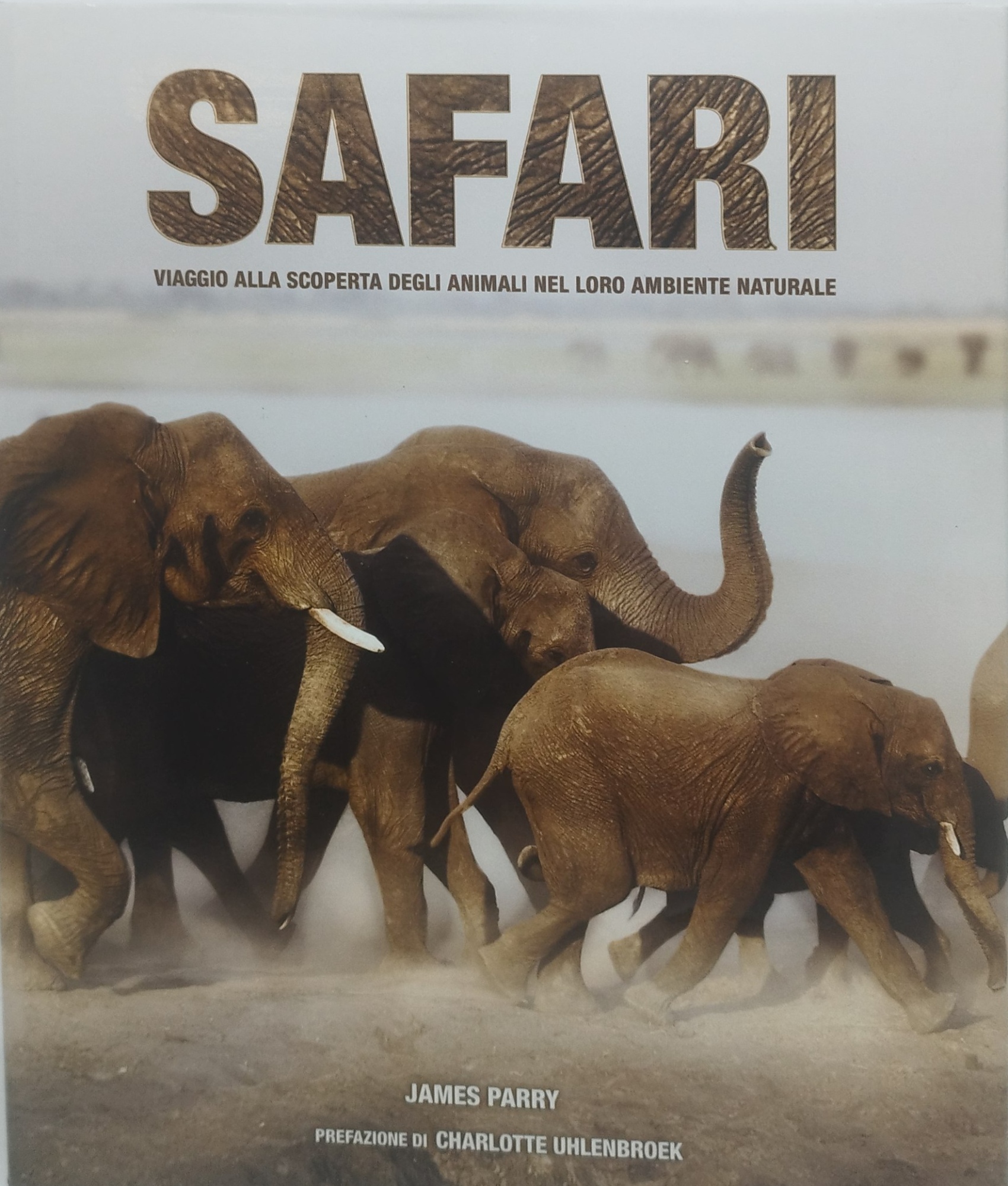 safari viaggio alla scoperta degli animali nel loro ambiente naturale