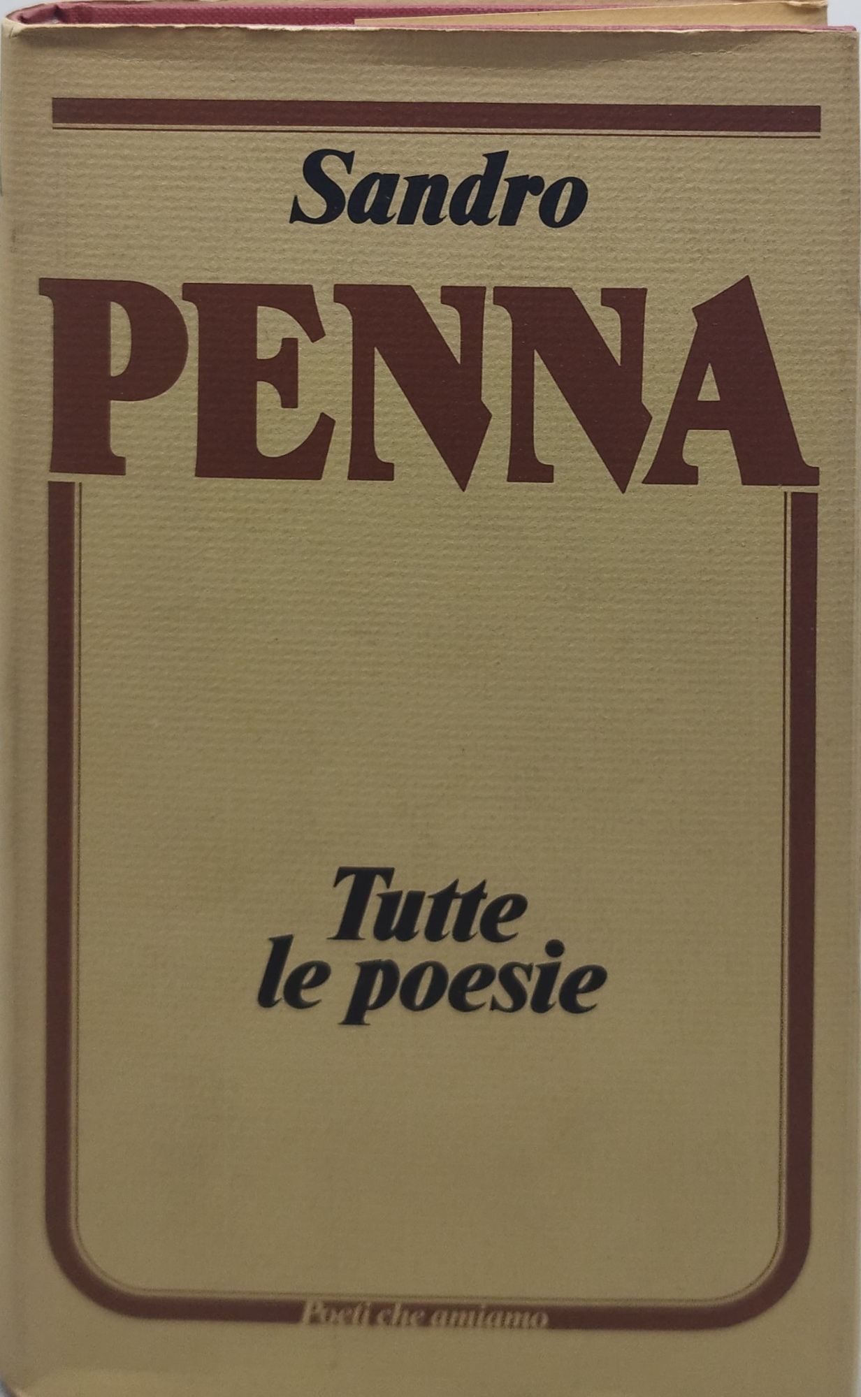 sandro penna tutte le poesie