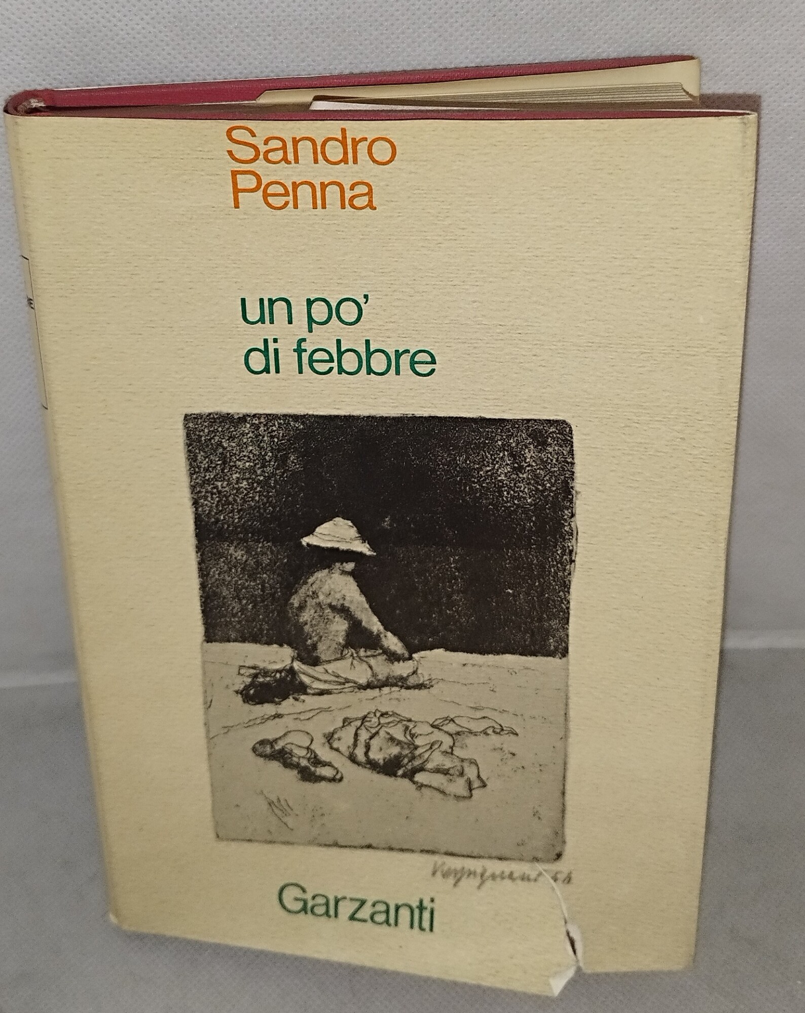 sandro penna un po' di febbre garzanti