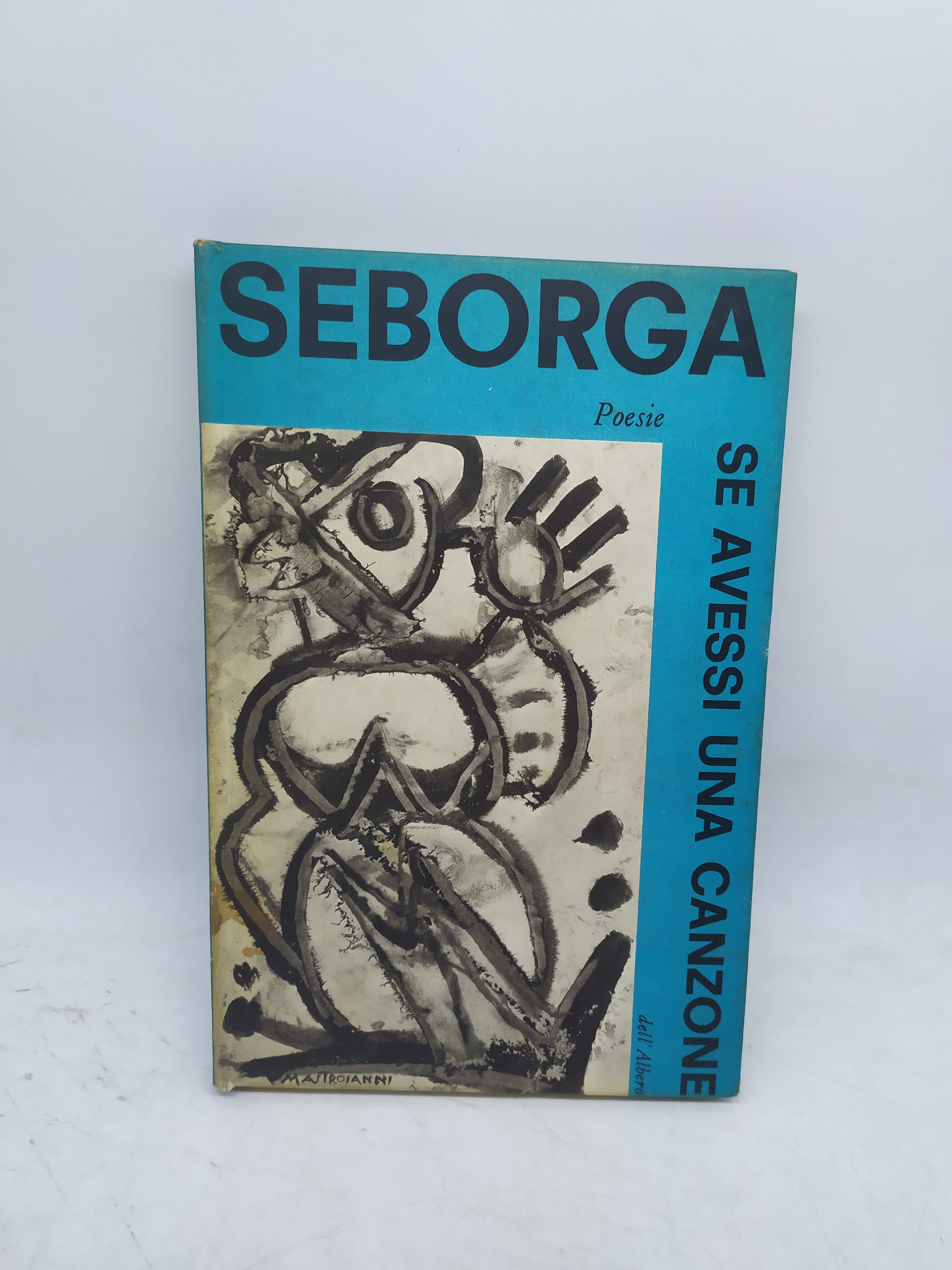 seborga poesie se avessi una canzone