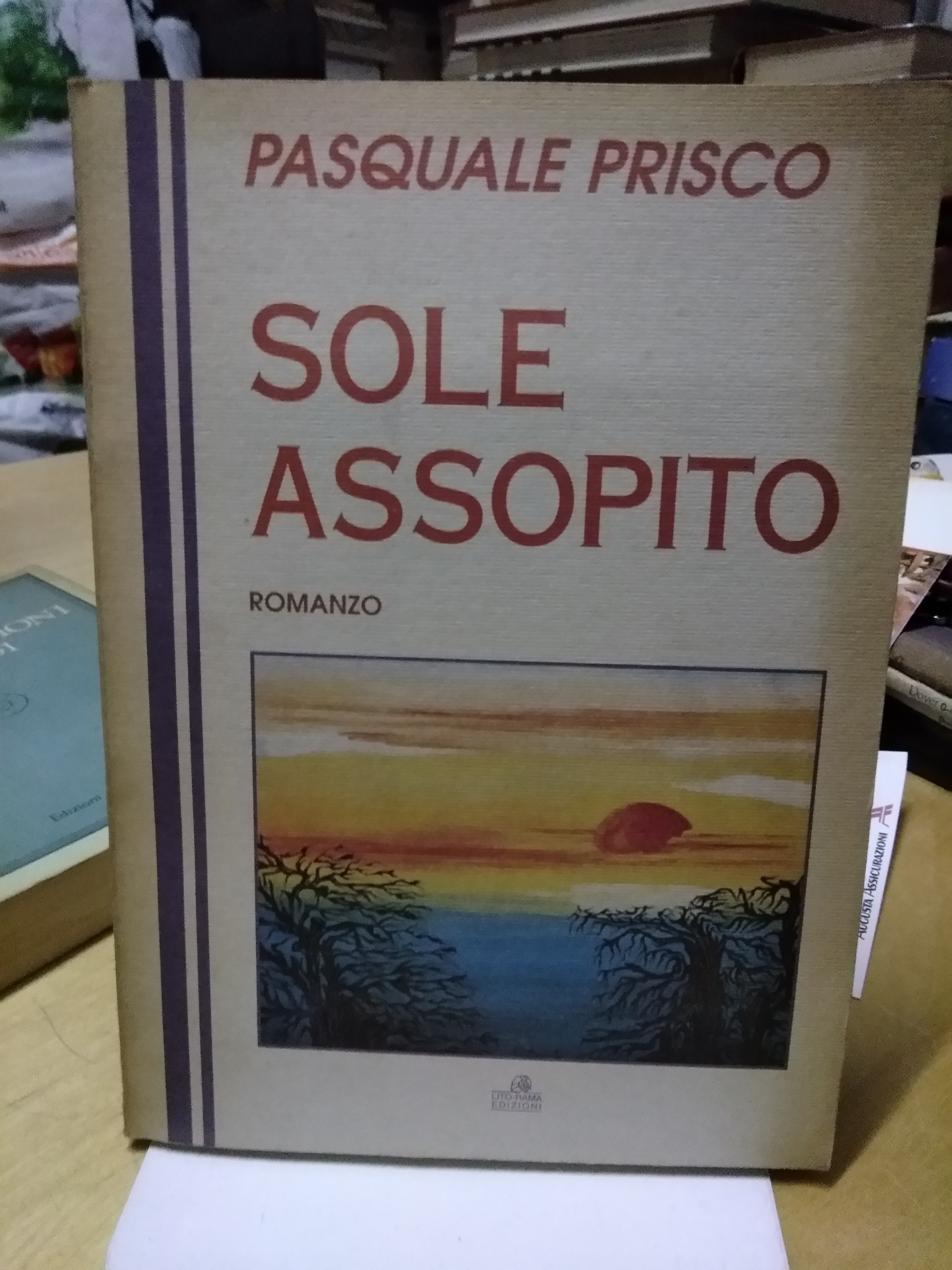 sole assopito romanzo pasquale prisco