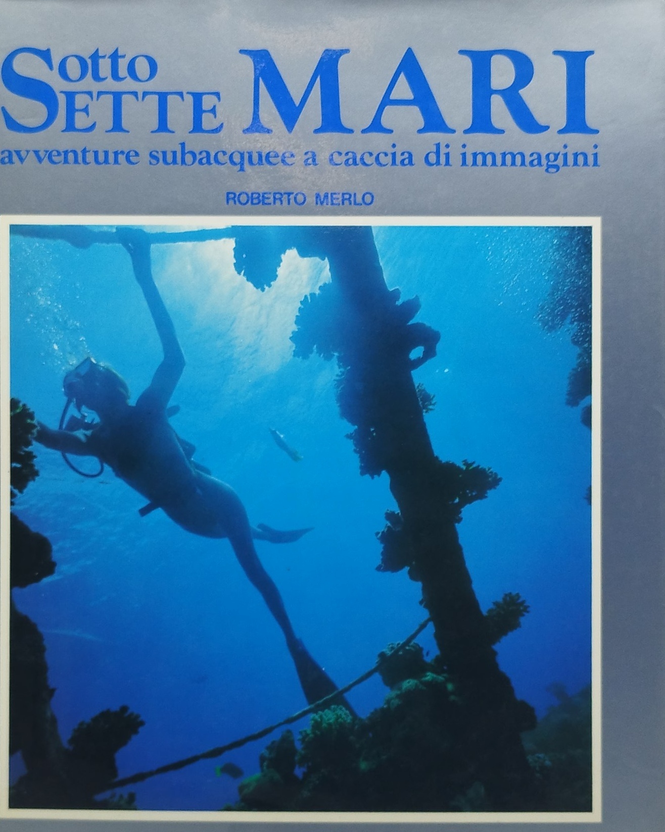 sotto sette mari avventure subacquee a caccia di immagini