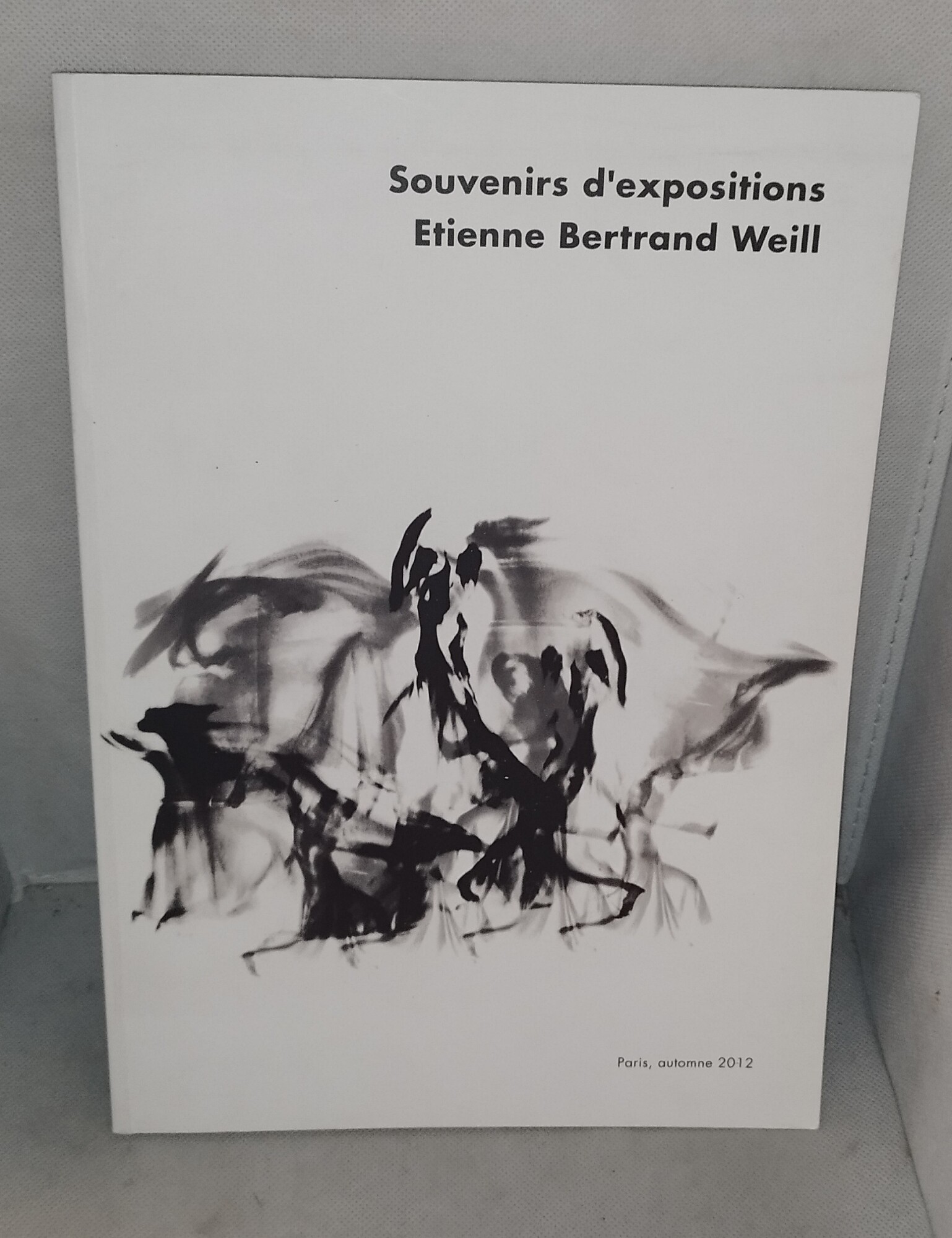 souvenirs d'expositions etienne bertrand weill