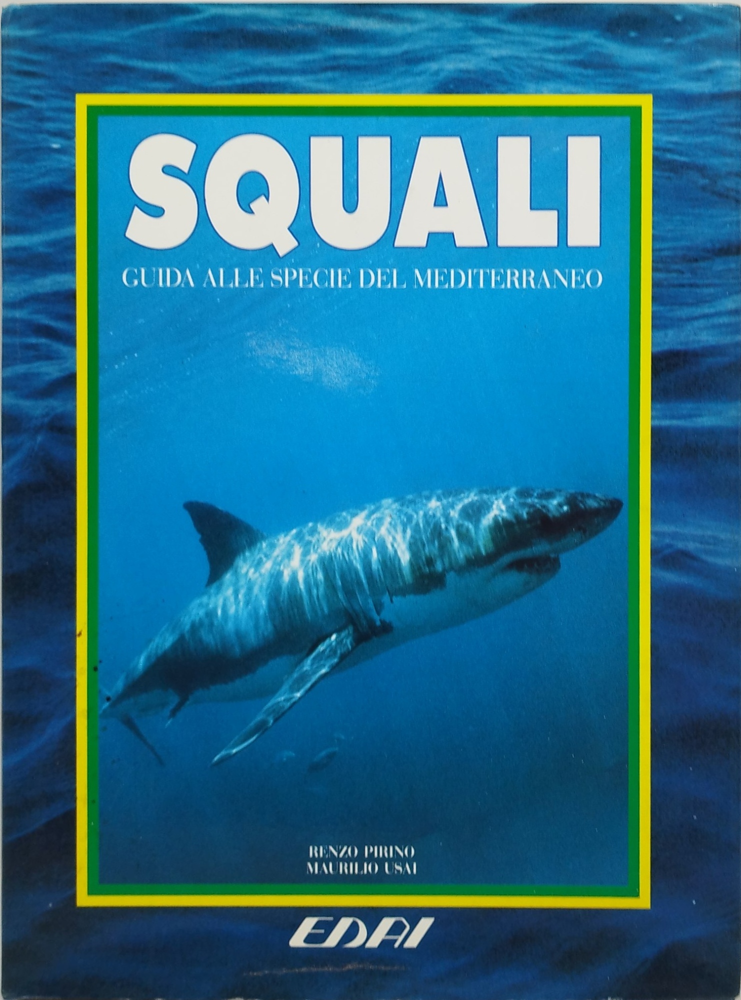 squali guida alle specie del mediterraneo