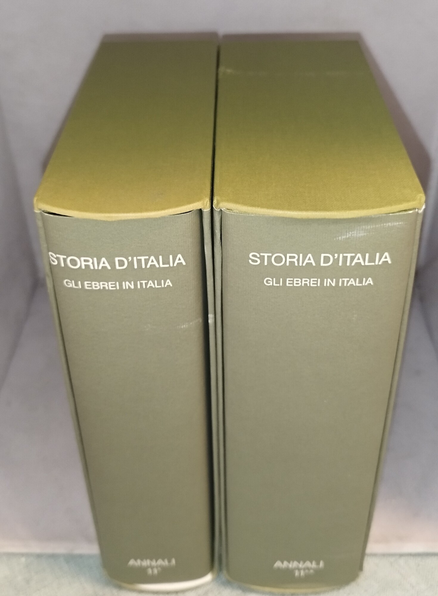storia d'italia annali 11 due tomi