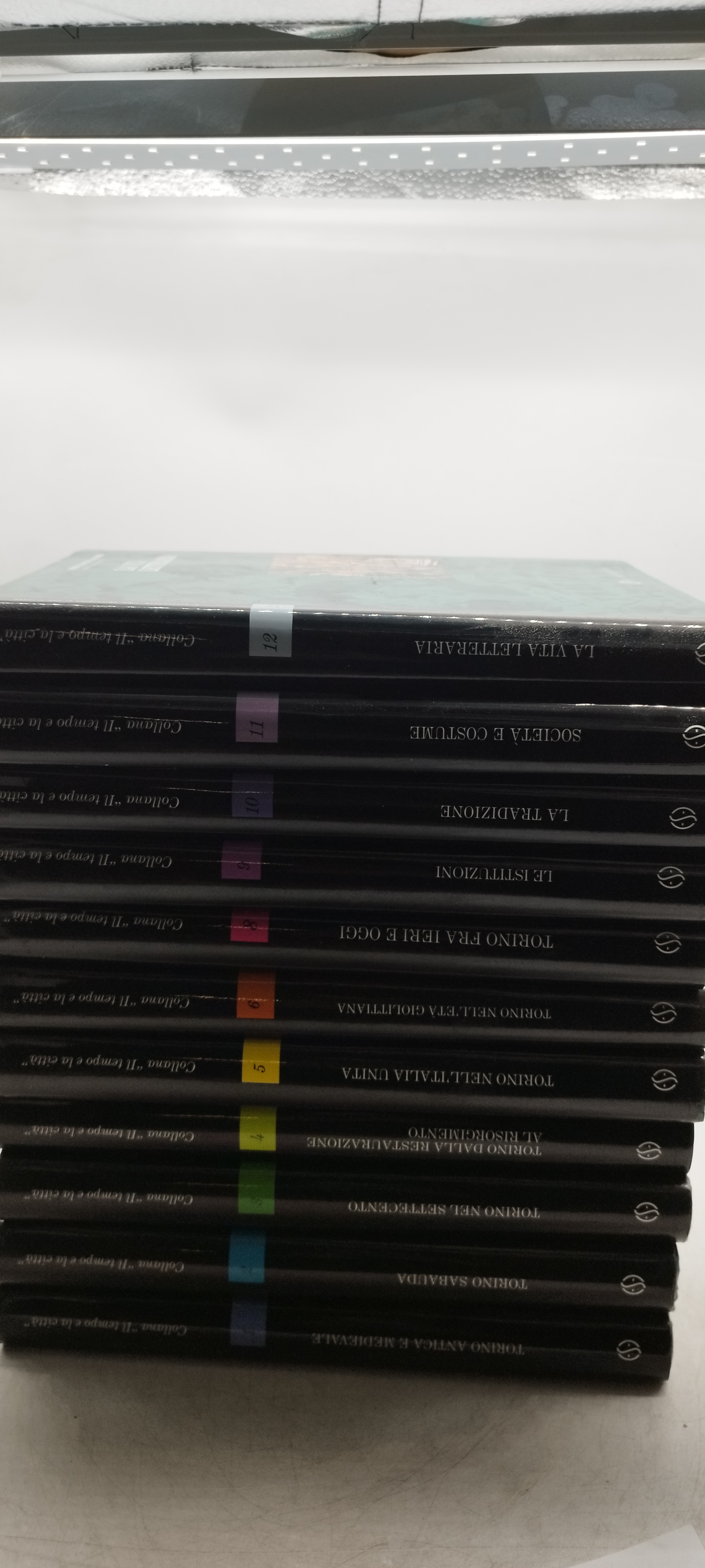 storia illustrata di torino a cura di valerio castronovo