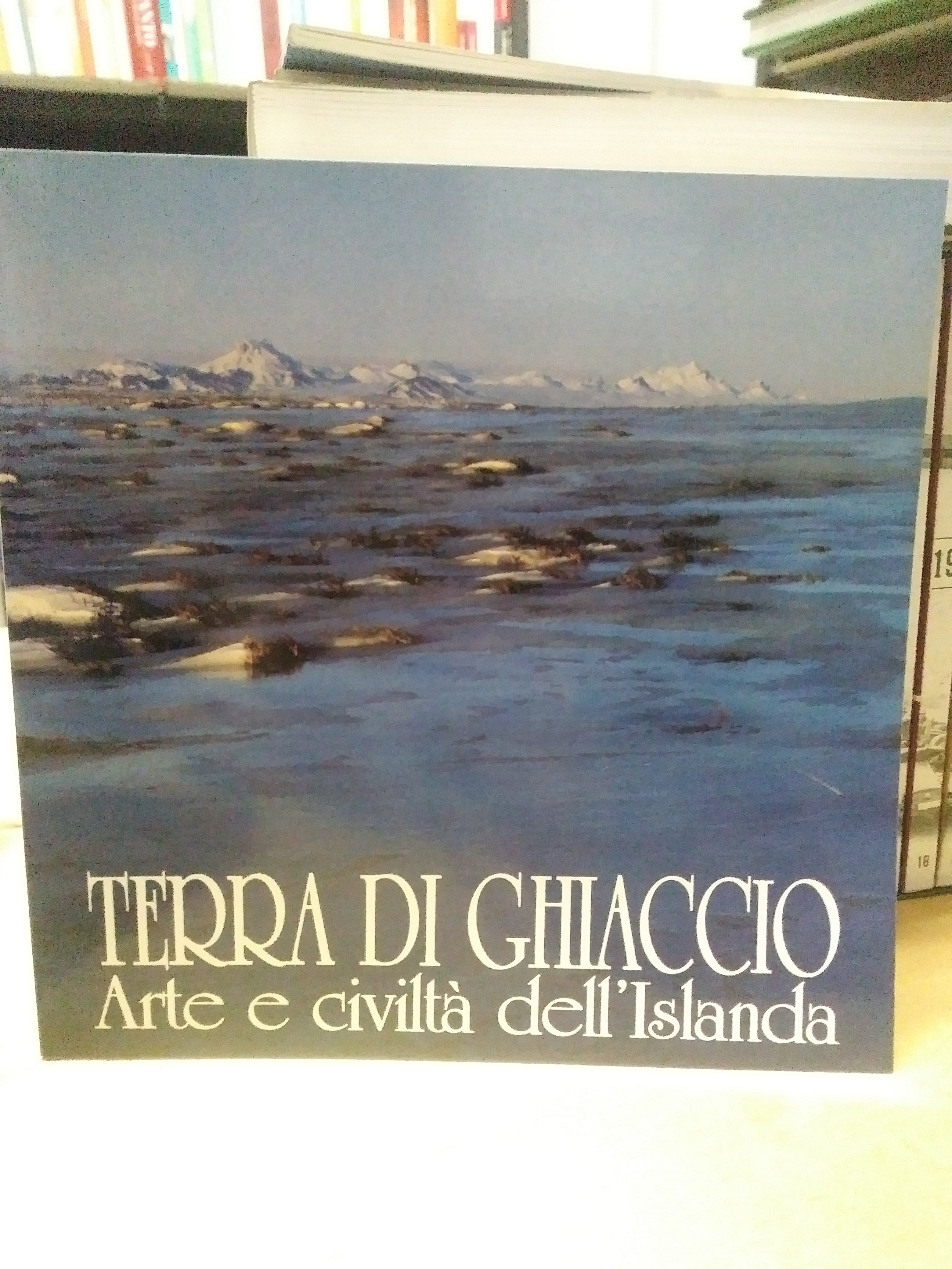 terra di ghiaccio arte e civilta' dell'islanda