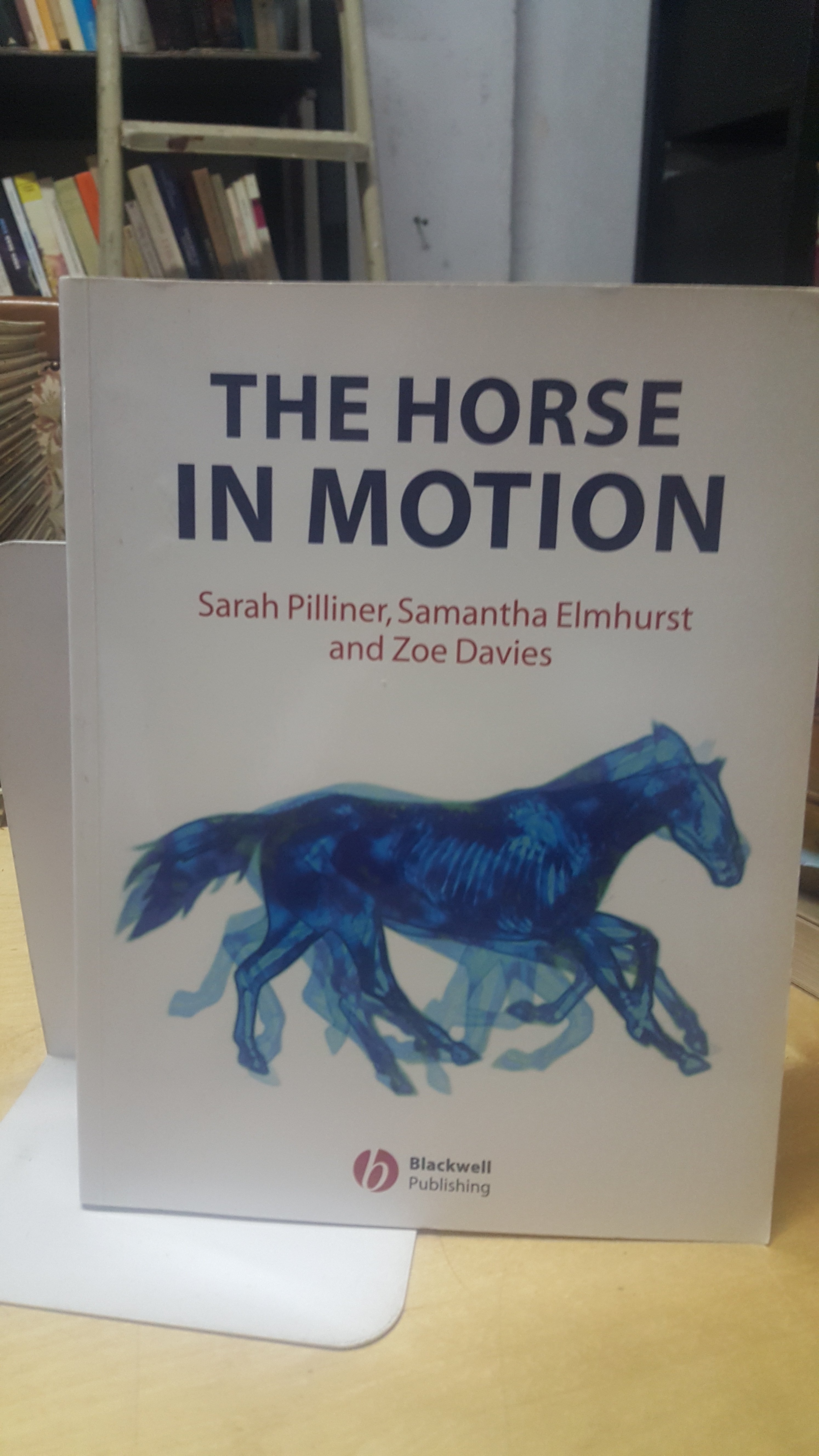 the horse in motion sarah pilliner samantha elmhurst zoe davies