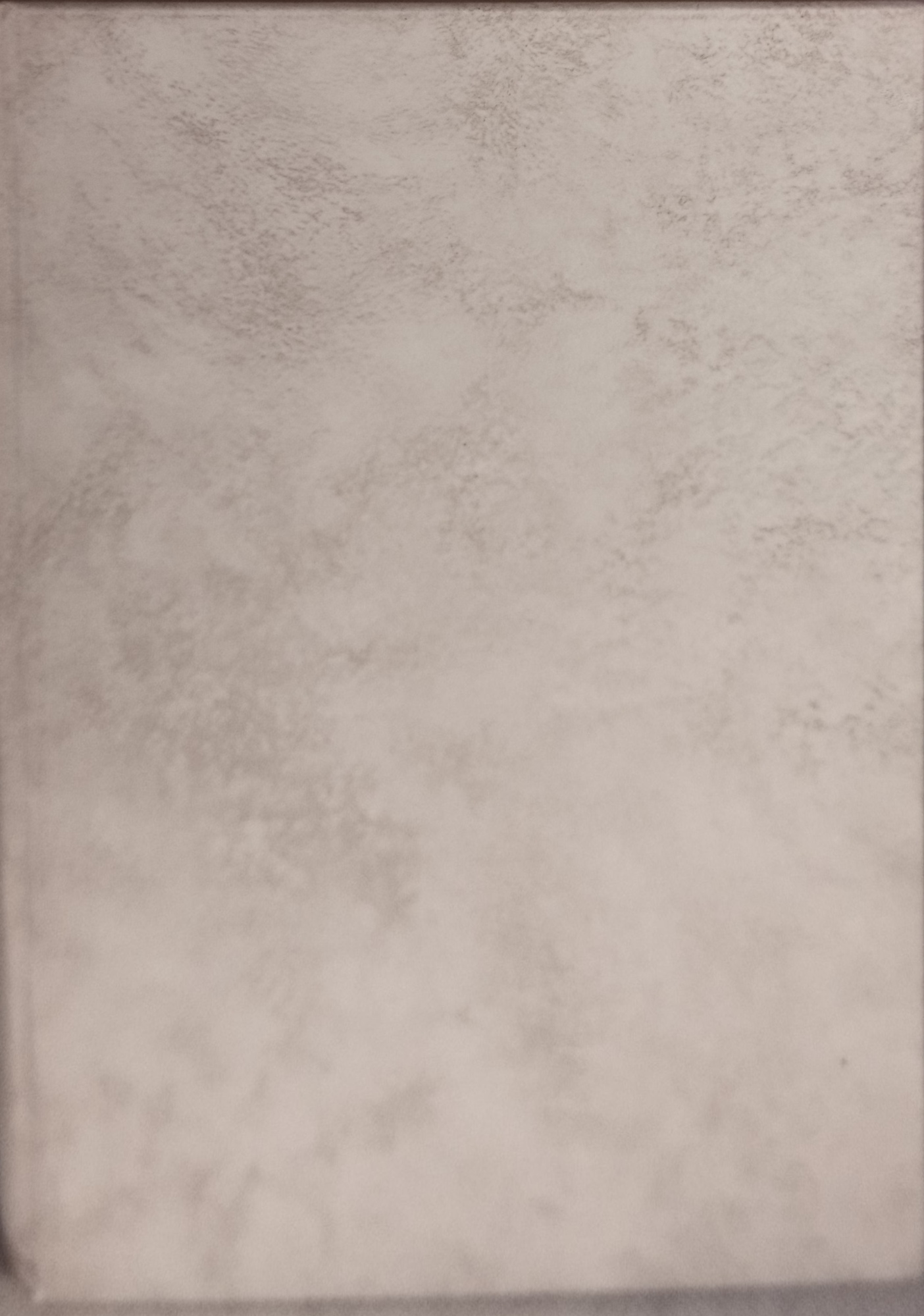 torino roux e favale 1880