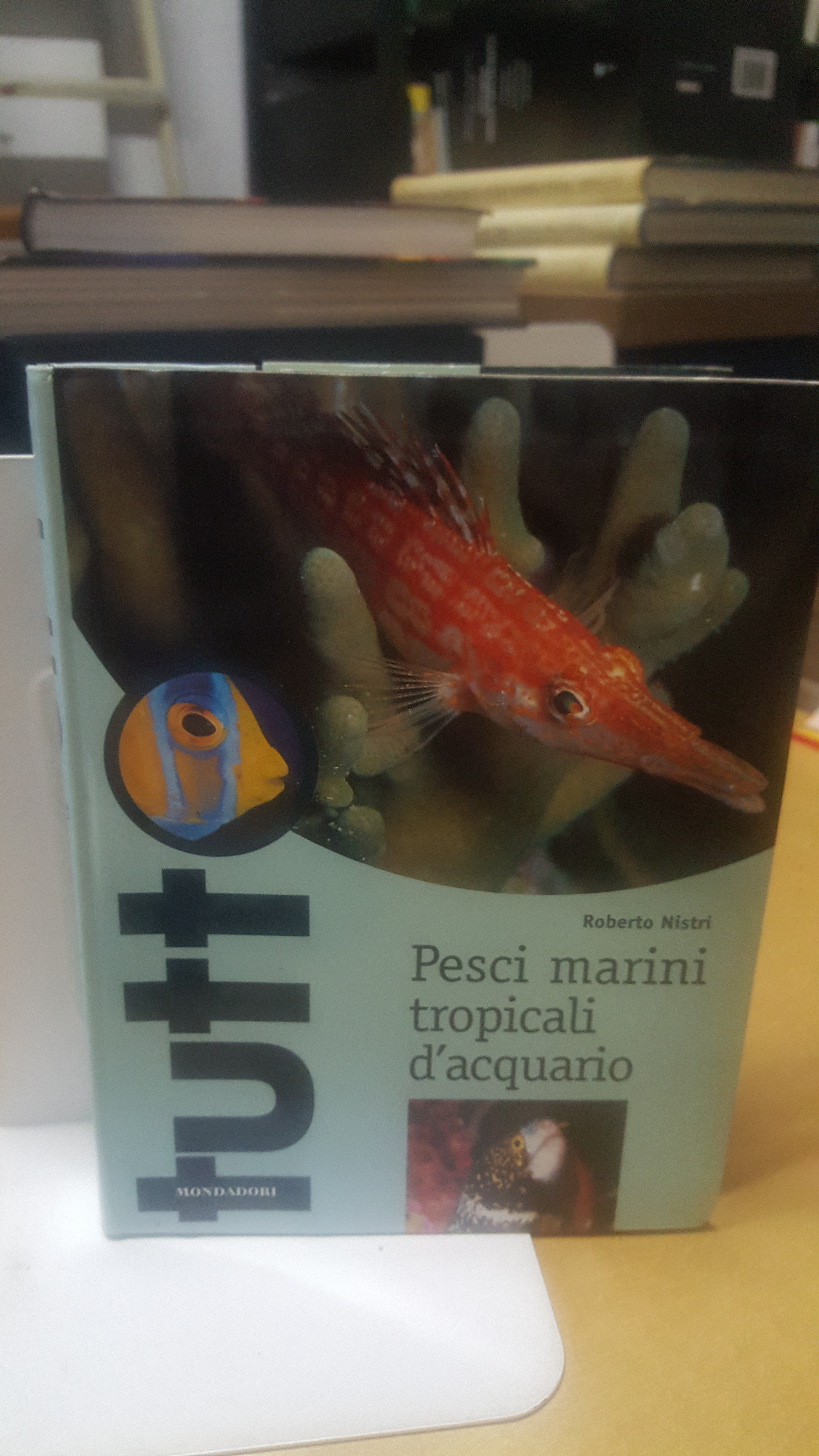 tutto pesci marini tropicali d'acquario mondadori