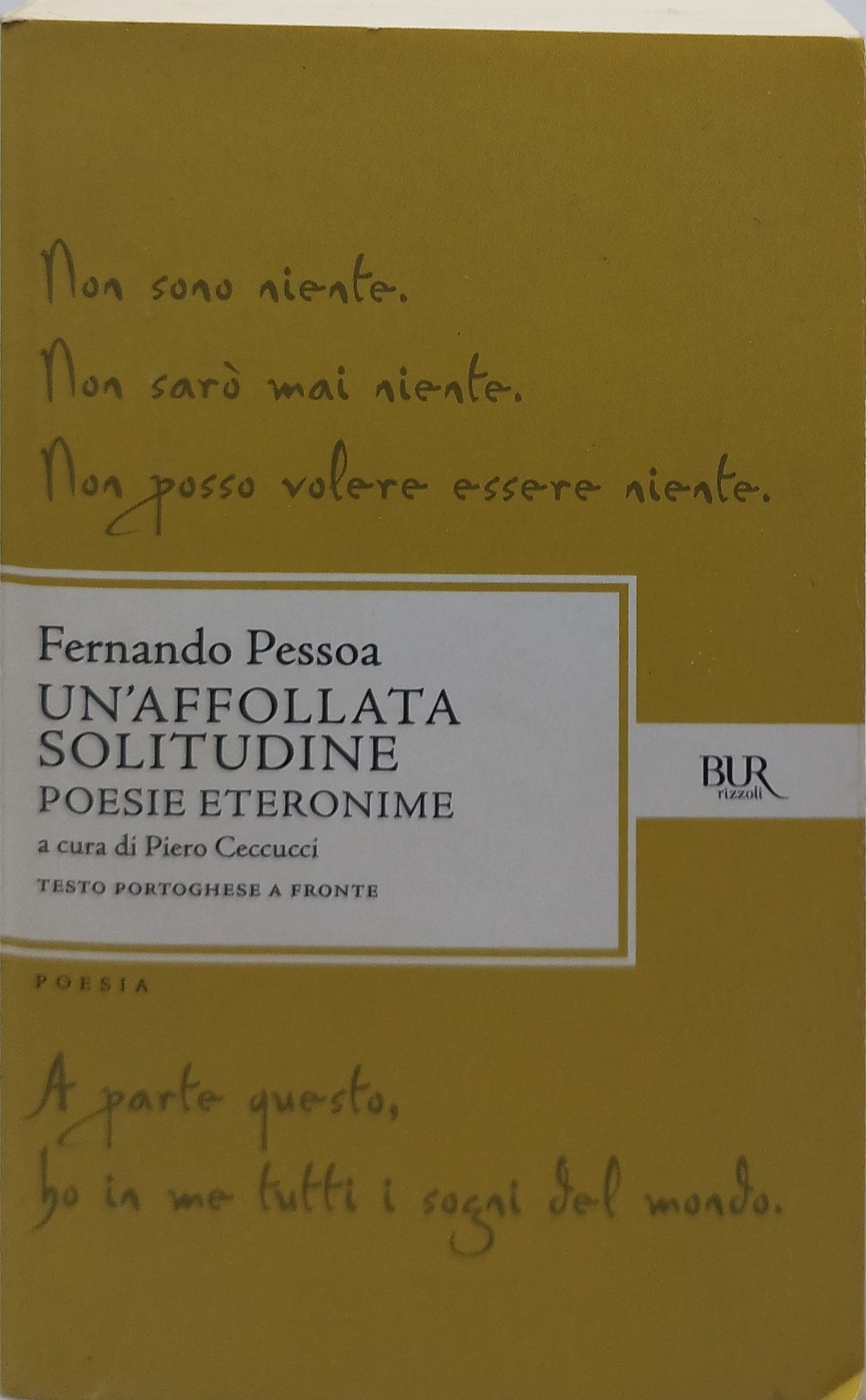 un'affollata solitudine poesie eternonime