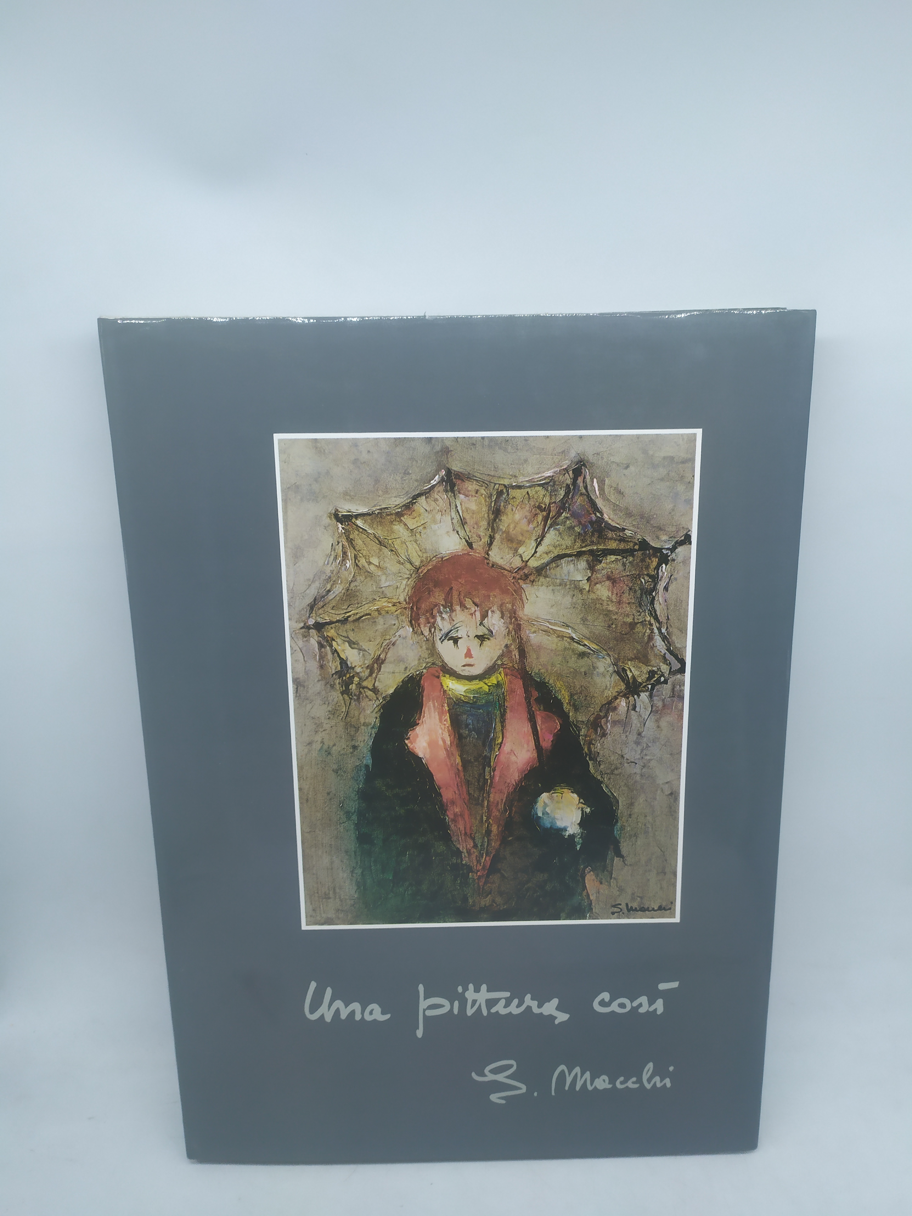 un pittore così silvano macchi