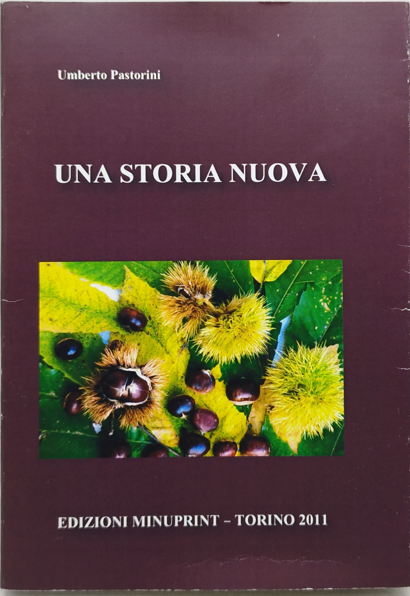 una storia nuova umberto pastorini