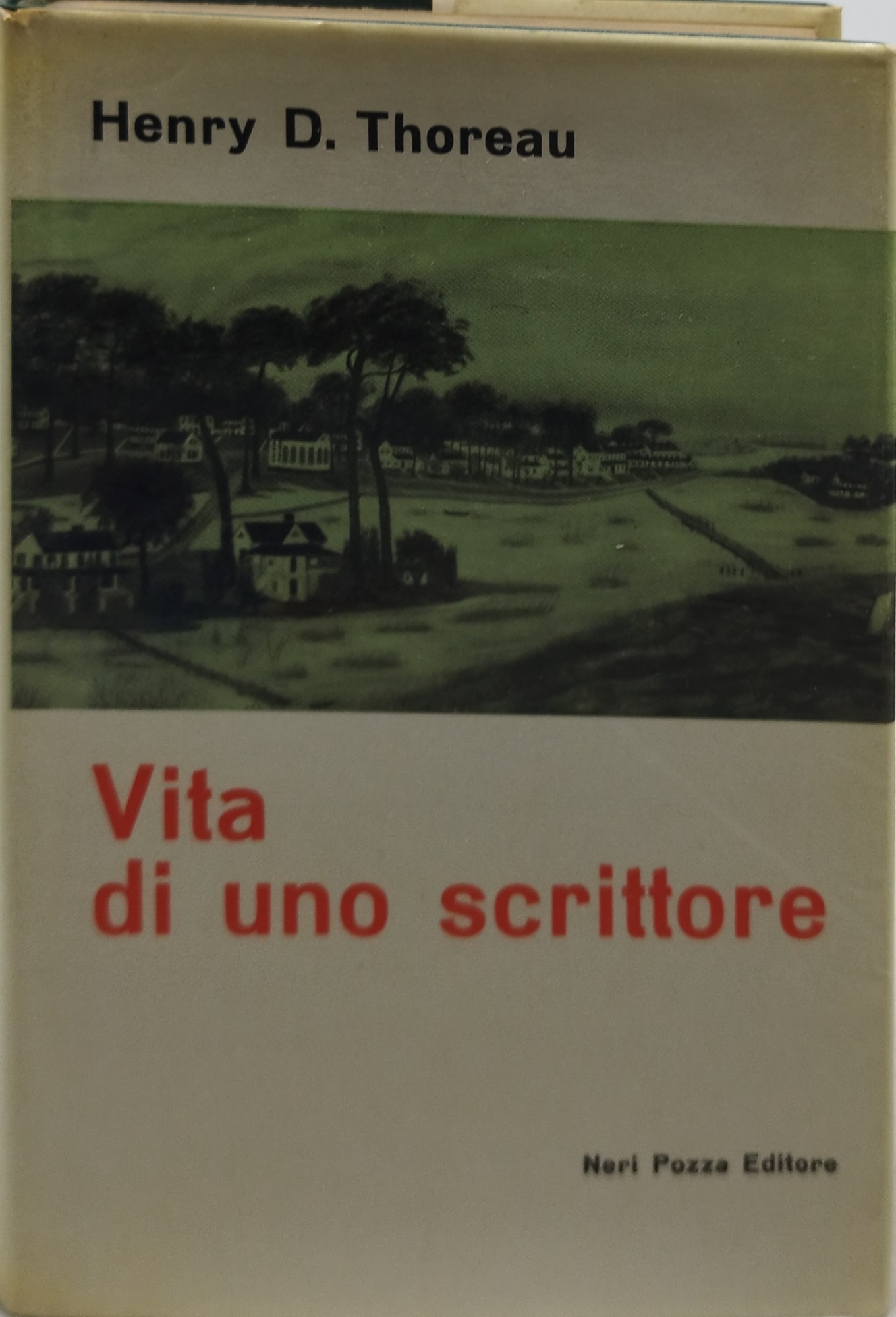 vita di uno scrittore neri pozza editore