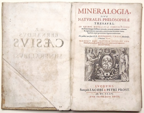 Mineralogia, sive Naturalis Philosophiae Thesauri, in quibus Metallicae Concretionis medicatorúmque …