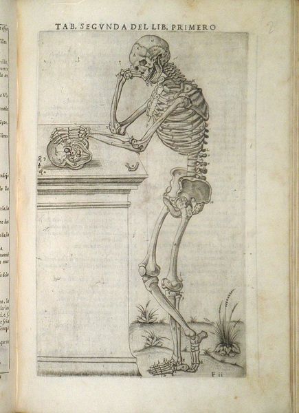 Historia de la composicion del cuerpo humano.