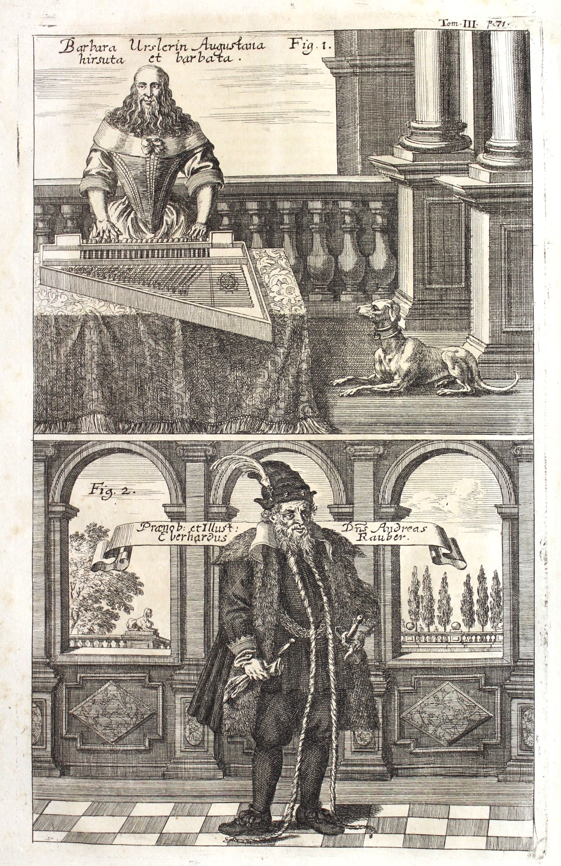 Barbara Urslerin Augustana hirsuta et barbata – Praenob: et illust: …