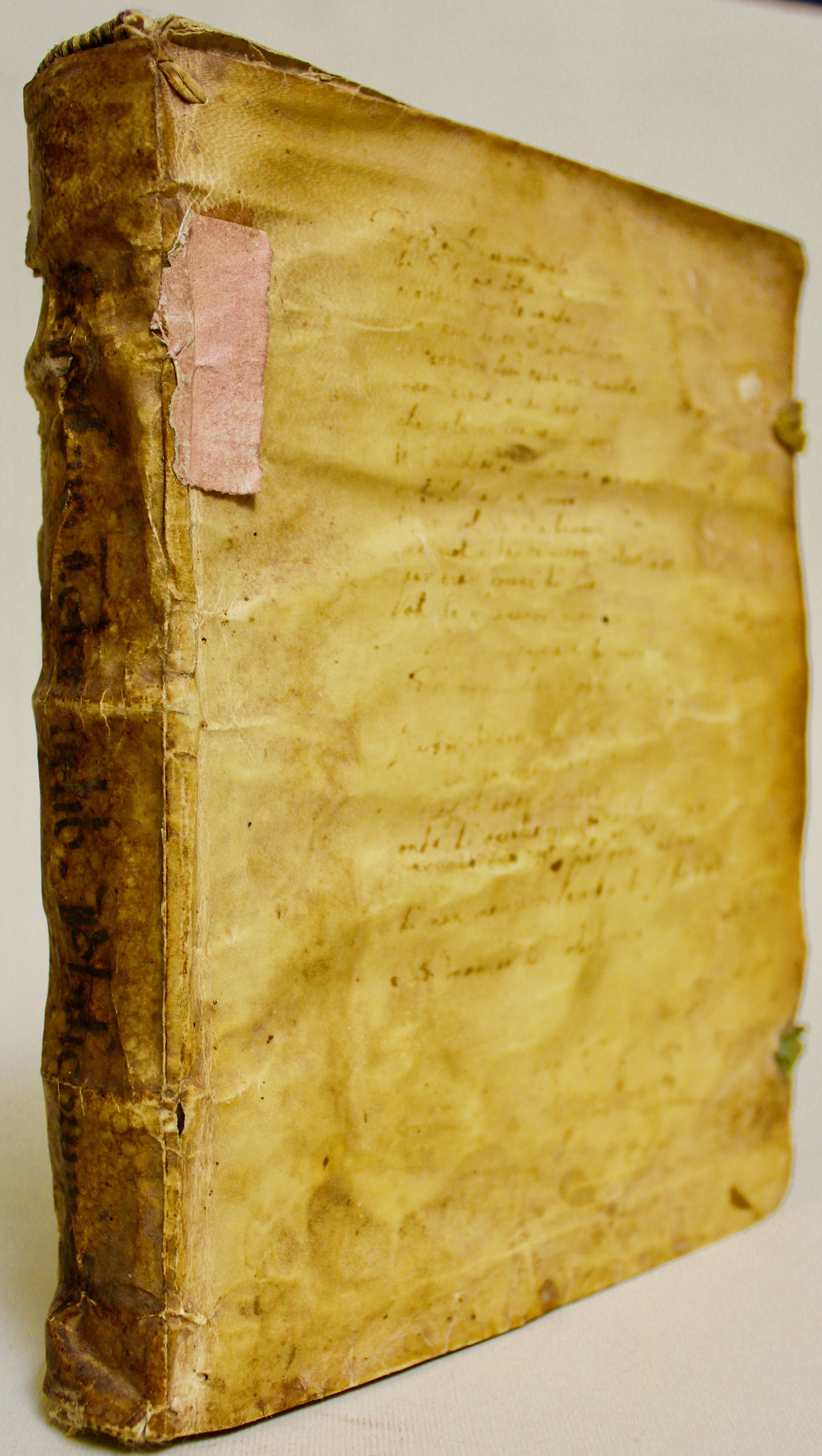 Commentaria una cum quaestionibus. In octo libros Aristotelis de physica …