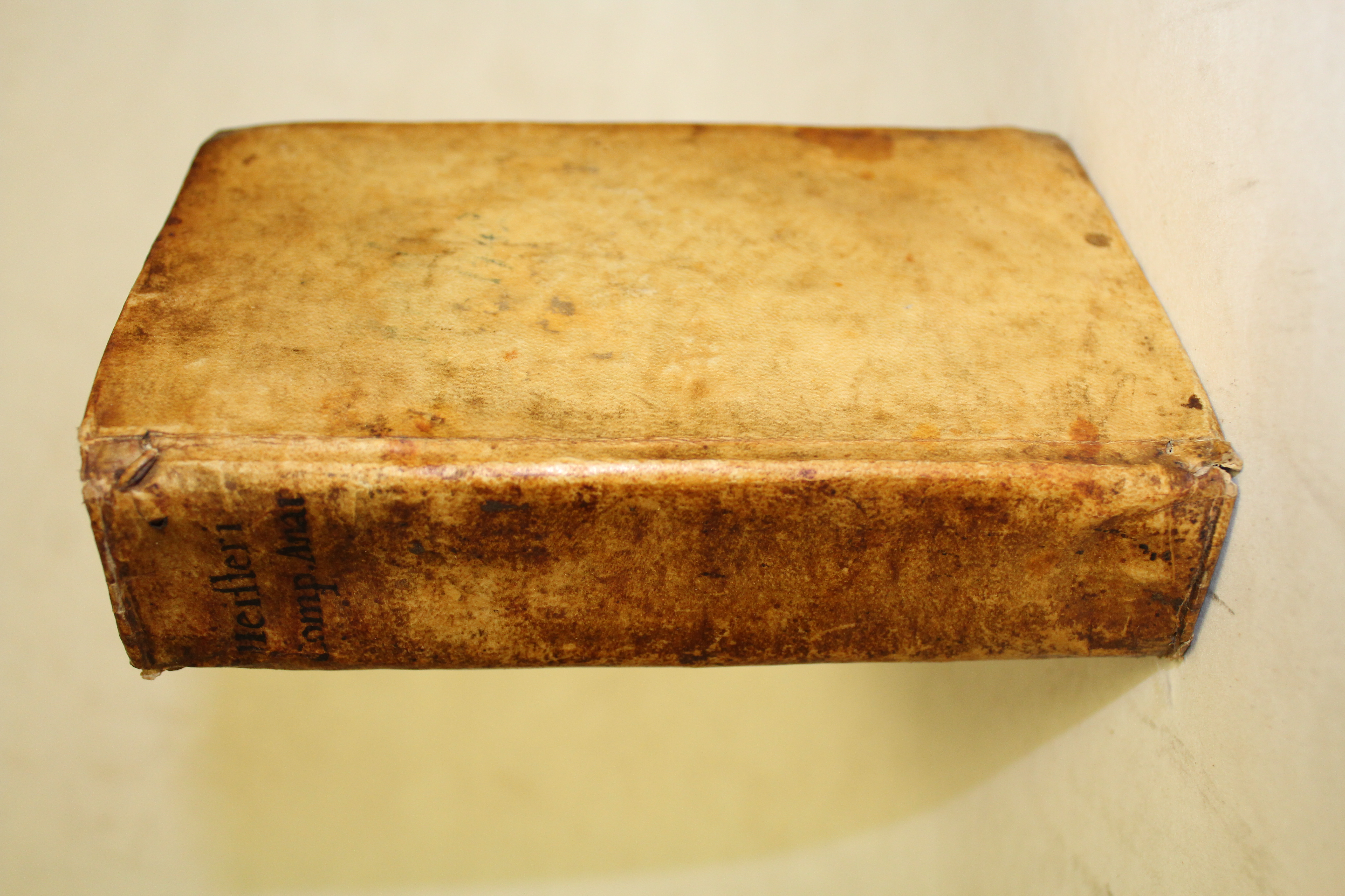 Compendium anatomicum totam rem anatomicam brevissime complectens