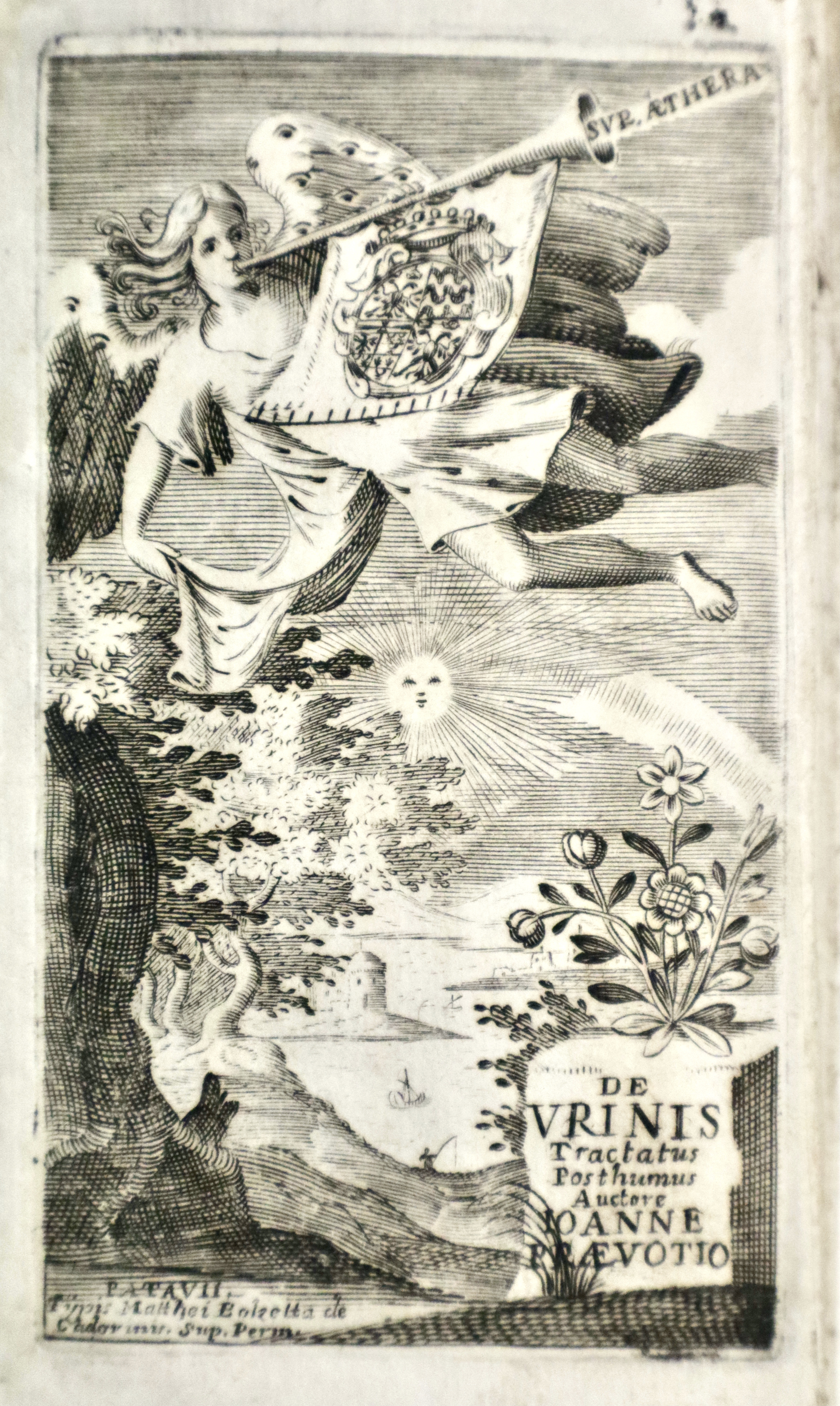 De urinis tractatus posthumus