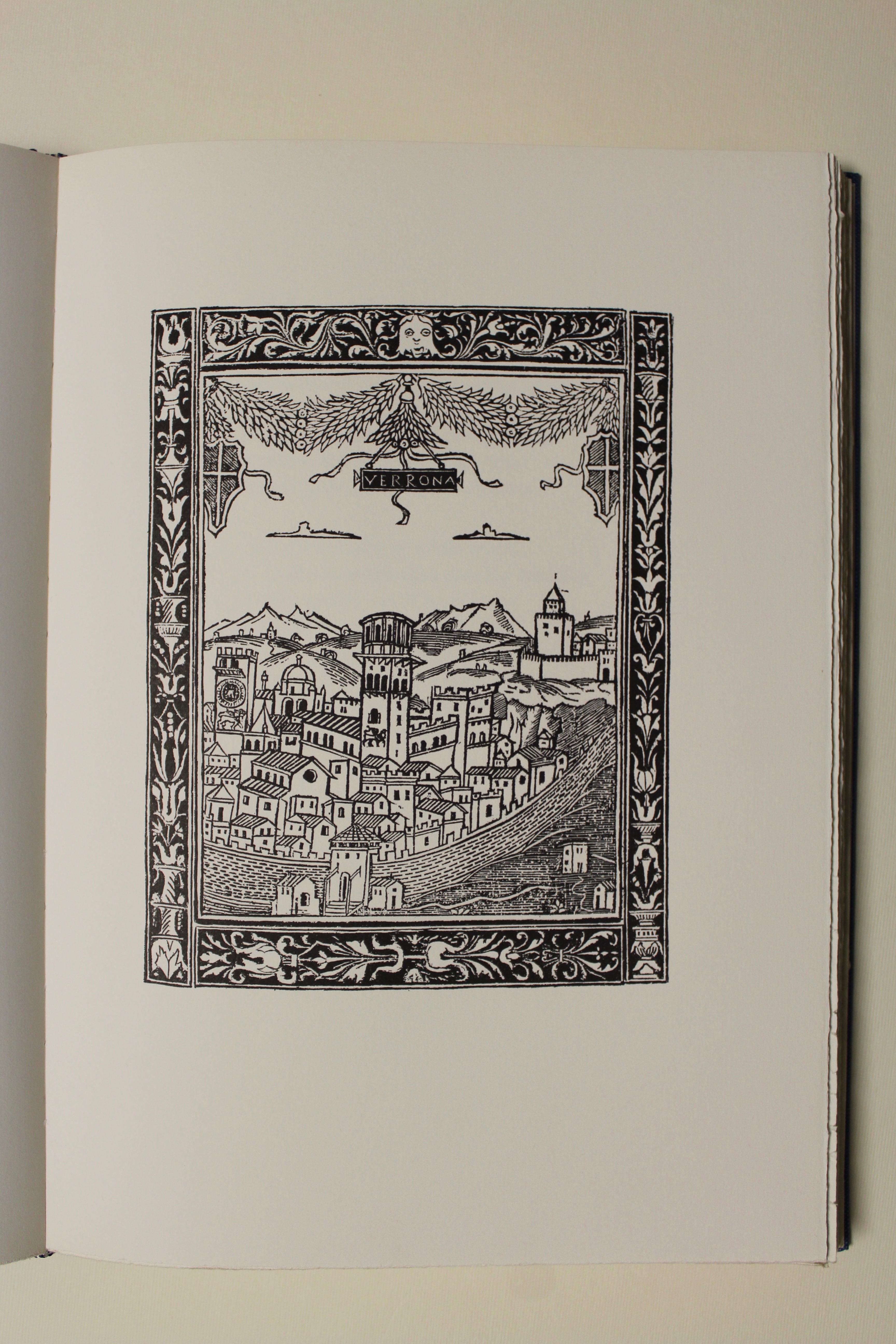 Fioretto de le antiche croniche de Verona e de tutti …