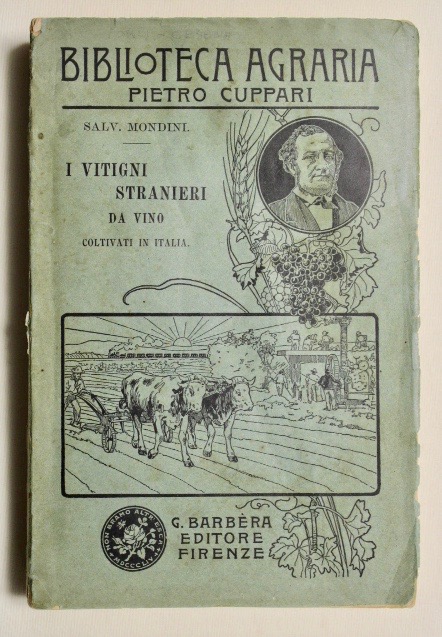 I vitigni stranieri da vino coltivati in Italia