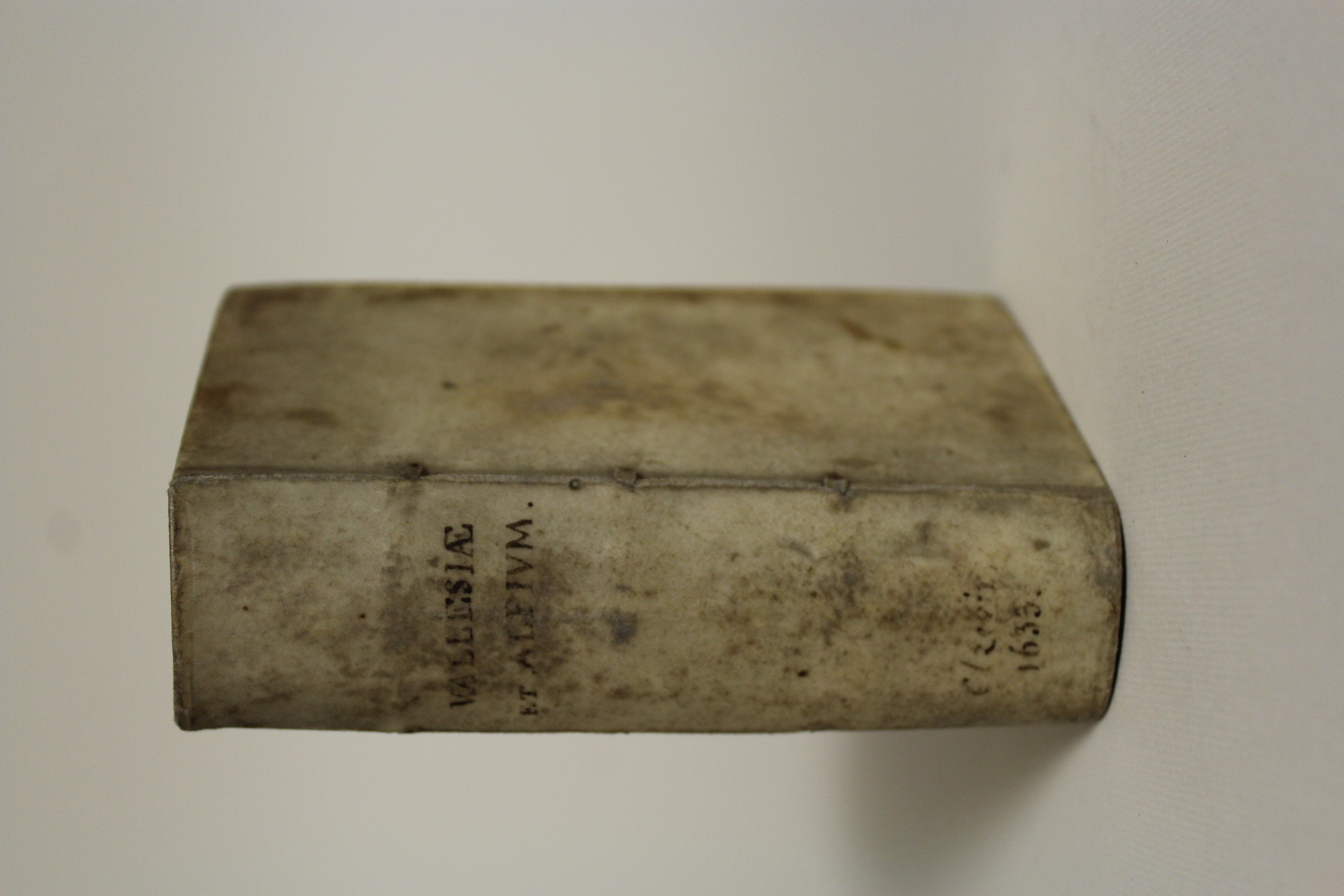 Il risveglio dell'Africa nera.