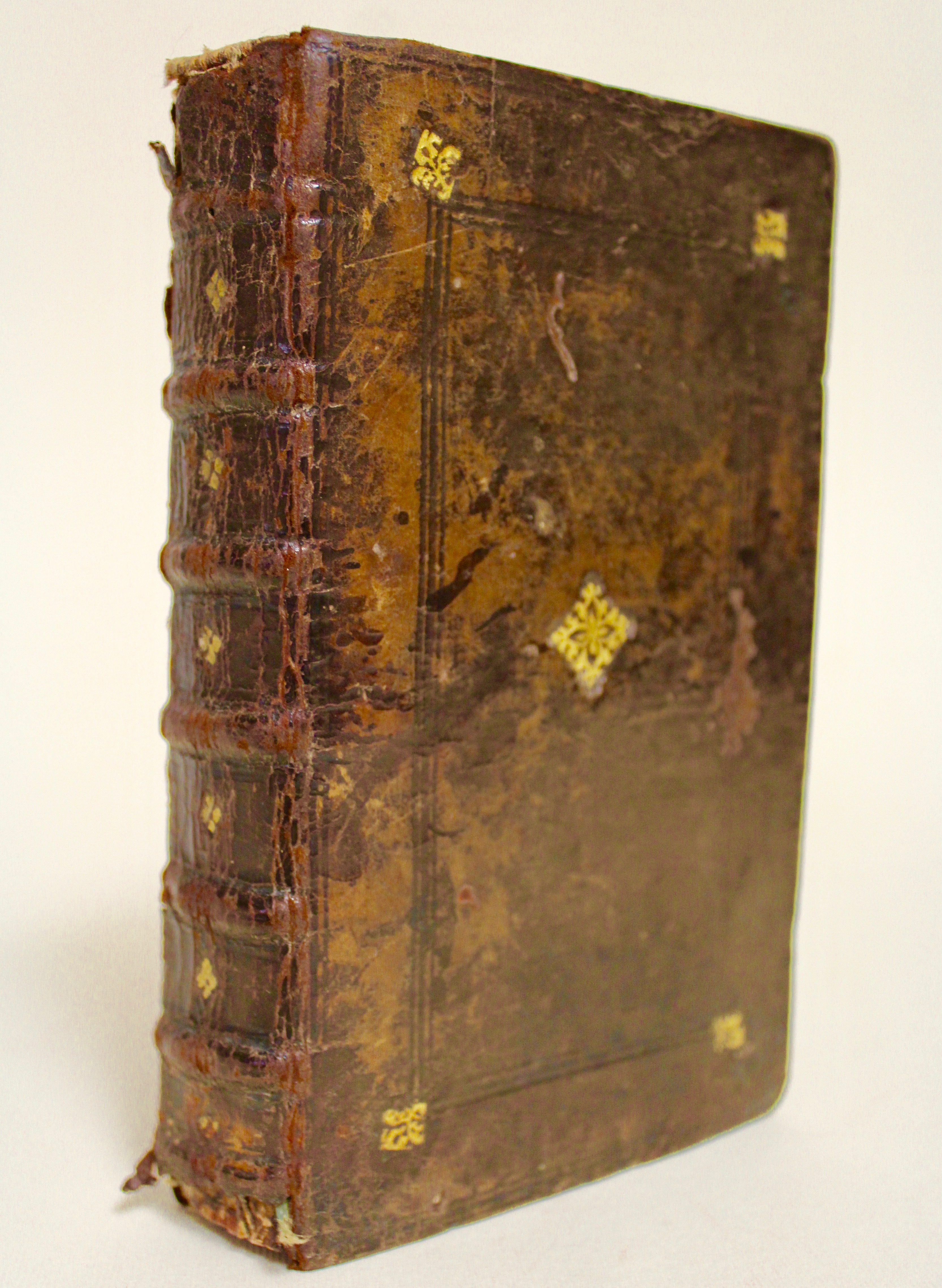 In omnes D. Pauli epistolas commentarij, perbreves ac docti, ante …