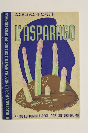 L' Asparago - storia - coltura - confezione - cause …