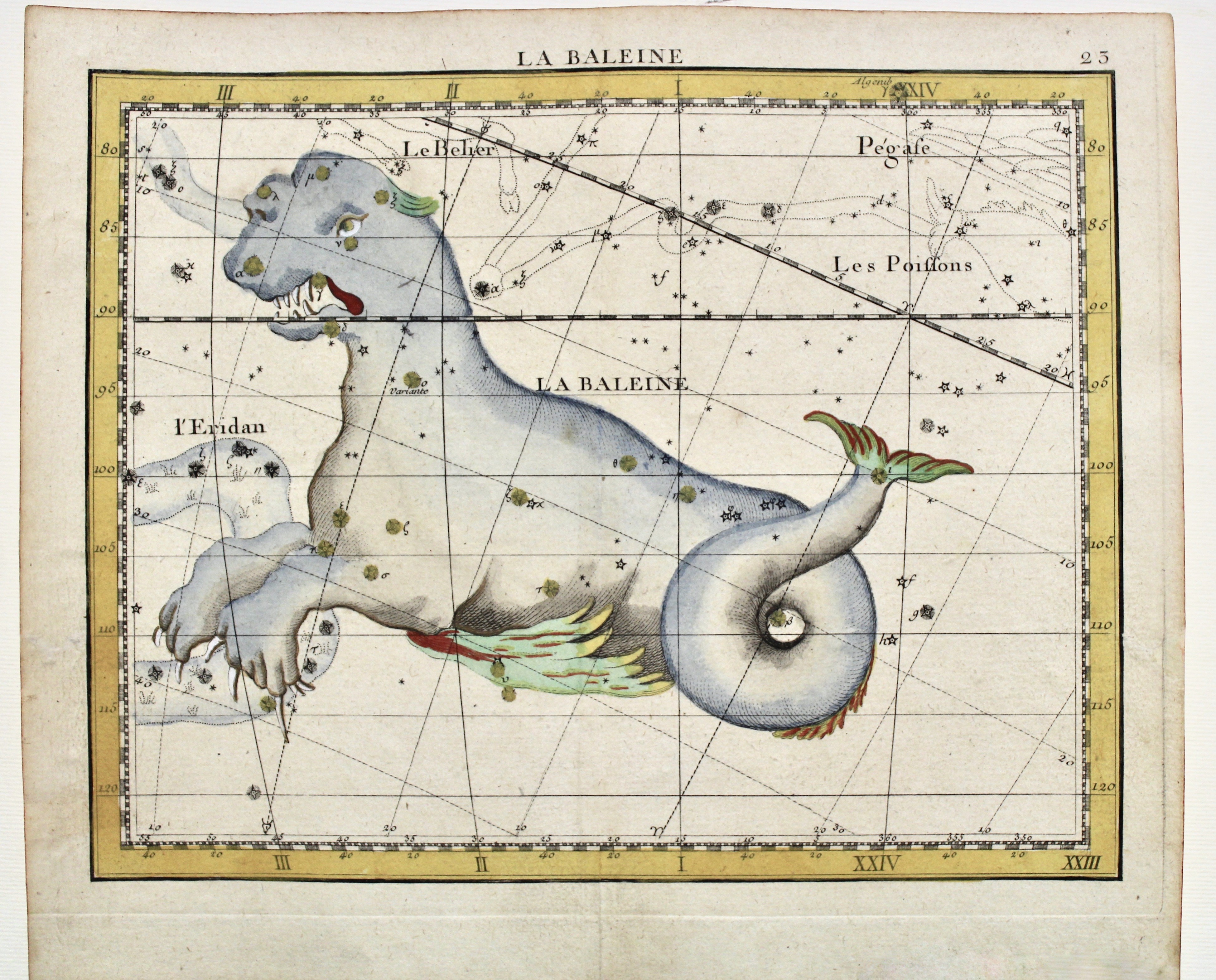 La Baleine
