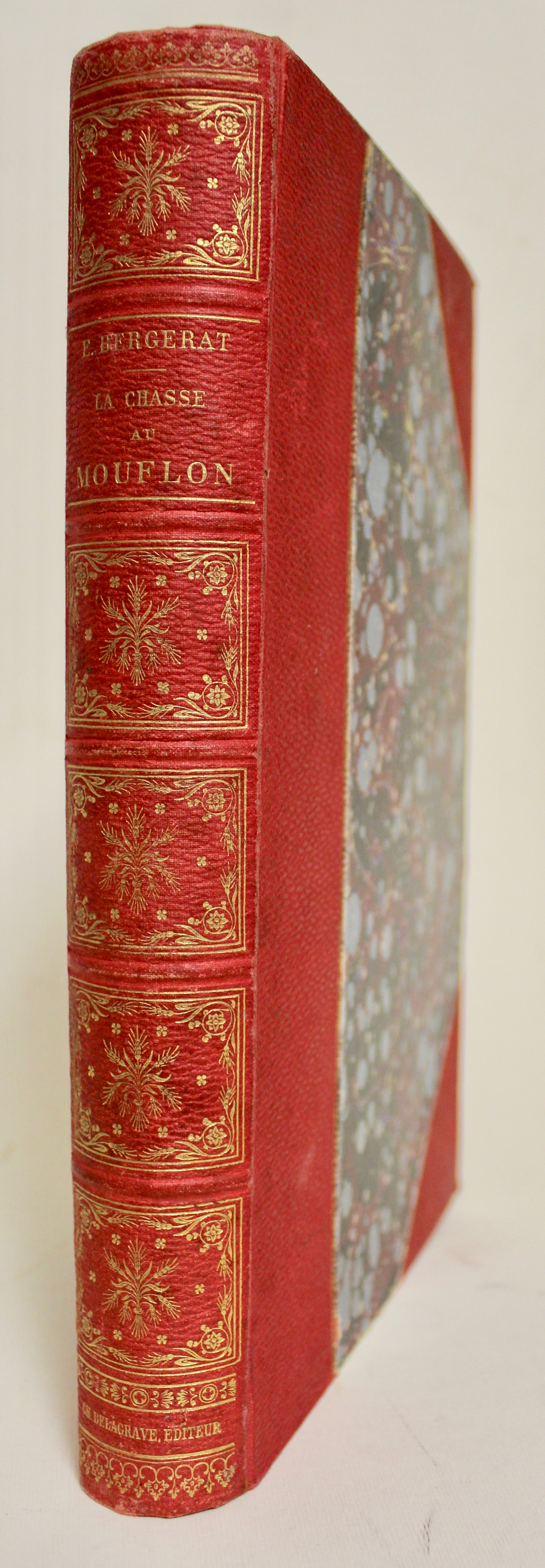 La chasse au mouflon ou petit voyage philosophique en Corse …