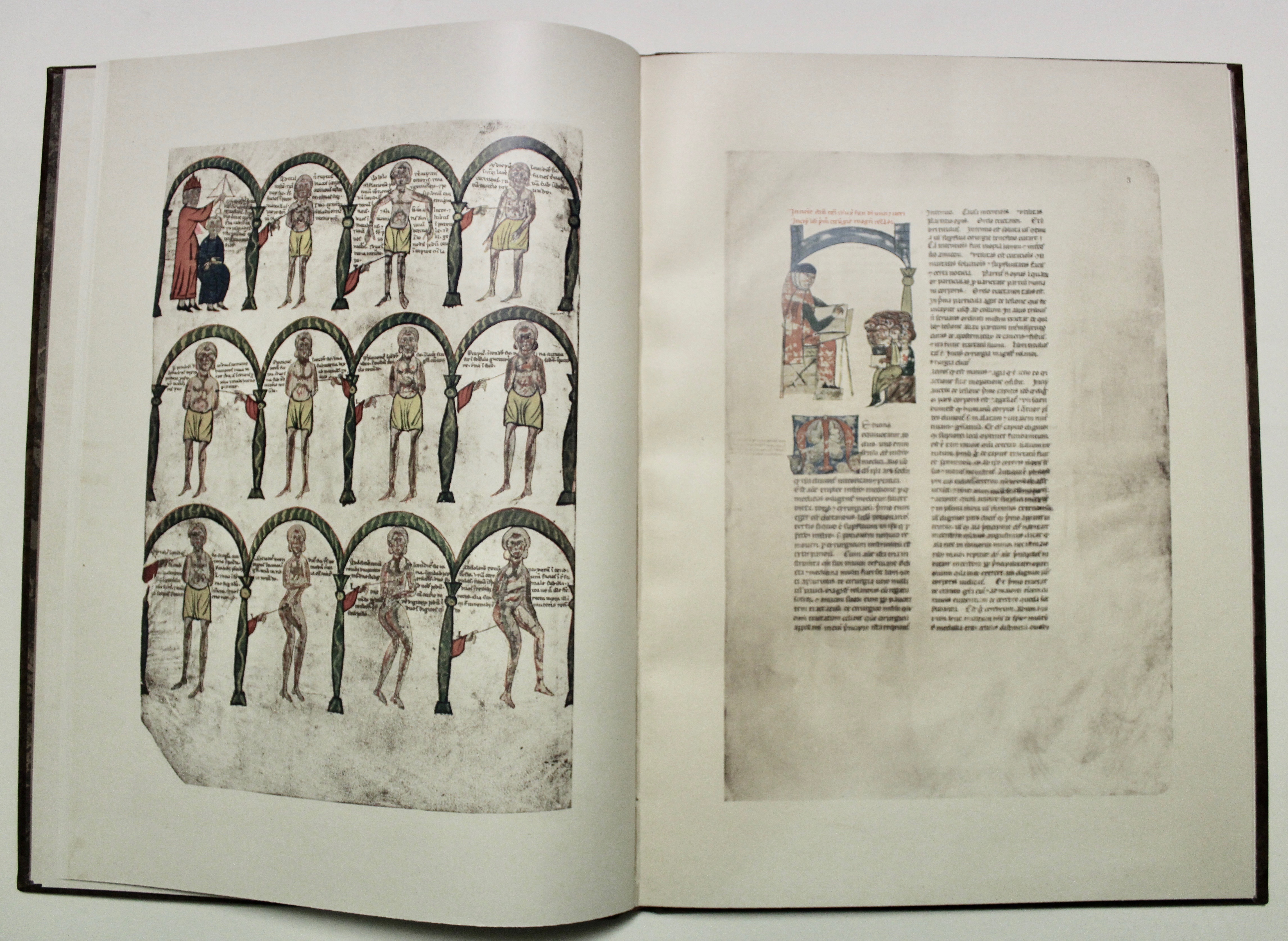 La chirurgia di M. Rolando da Parma detto dei Cappezzuti. …